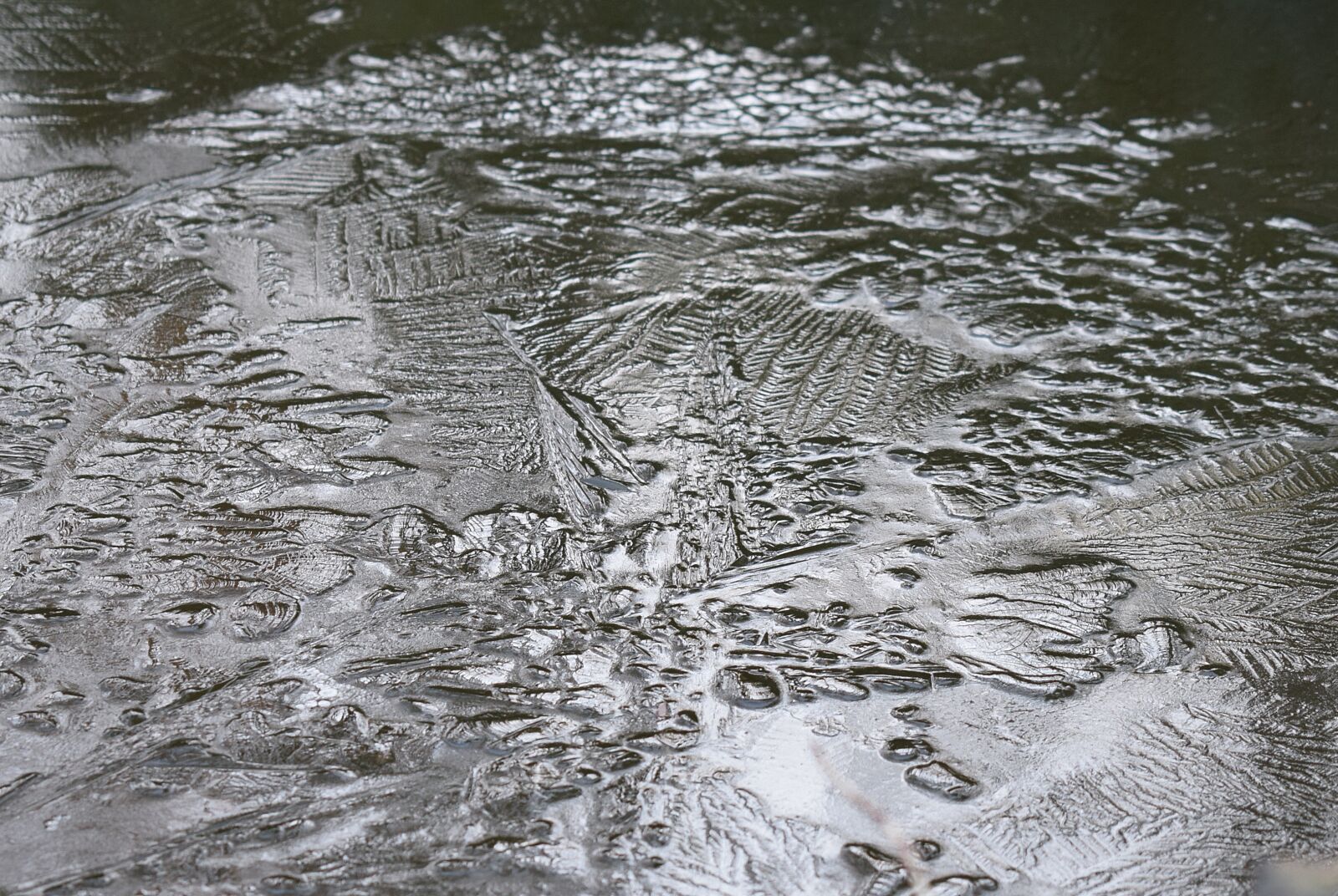 Nikon D3300 sample photo. Ice patterns, ice, pond photography