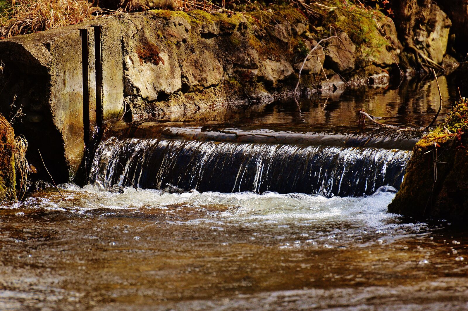 Nikon D3200 sample photo. Water, bach, nature photography