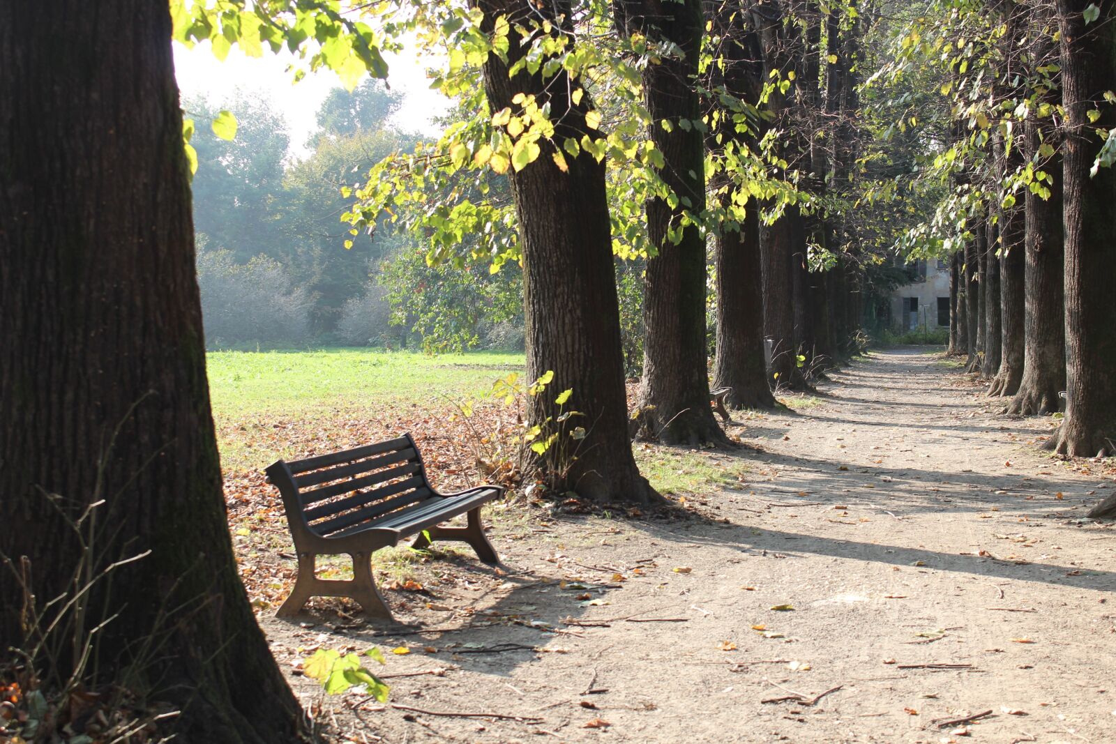 Canon EOS 600D (Rebel EOS T3i / EOS Kiss X5) sample photo. Bench, park, autumn photography