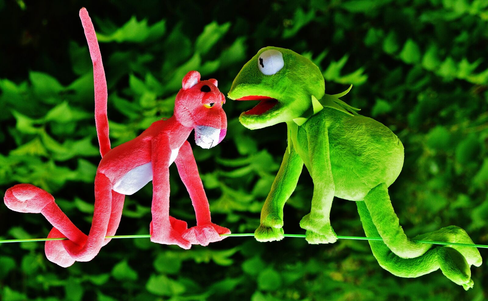Nikon D3200 sample photo. Hang out, plush toys photography