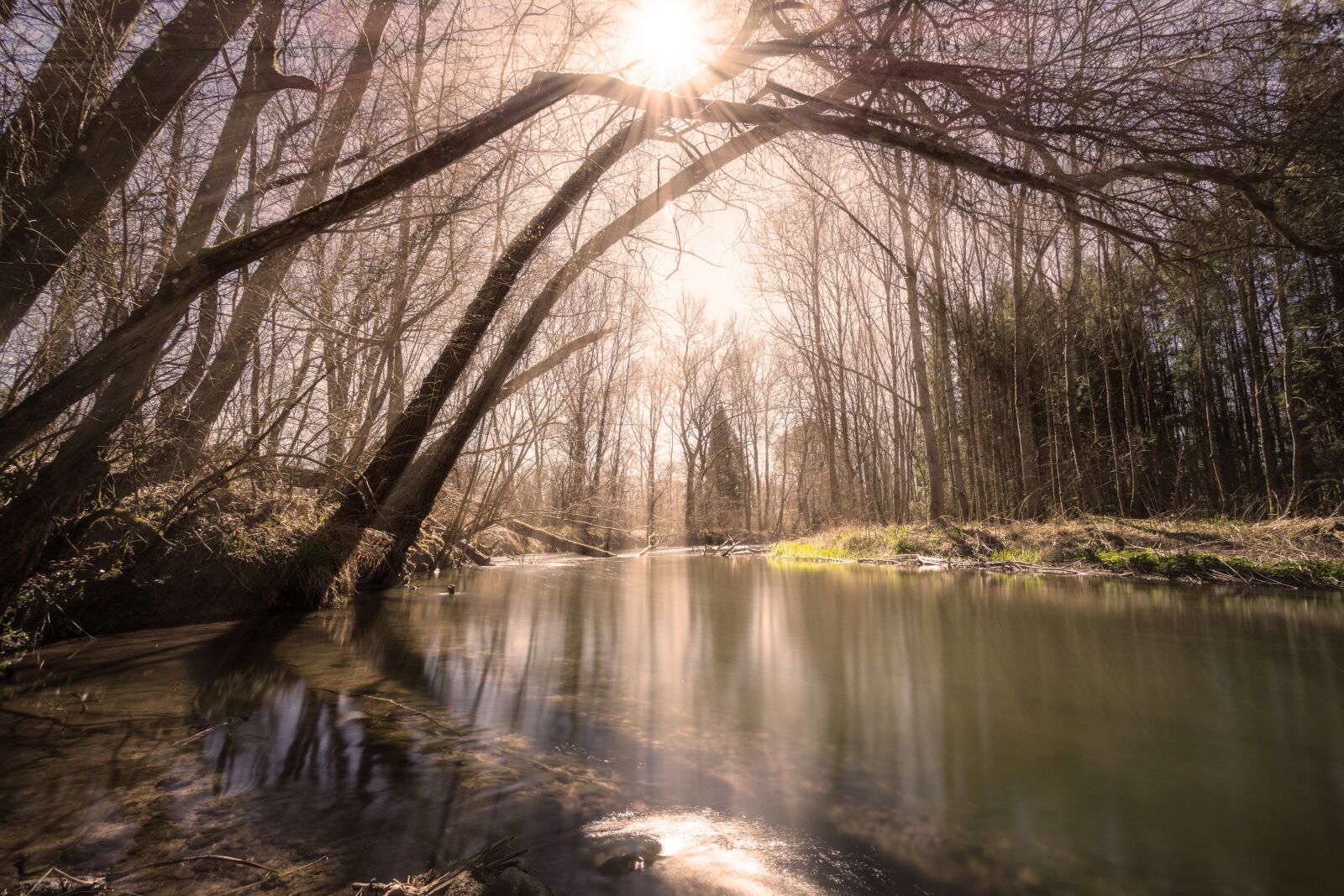 Nikon D7200 sample photo. Reflection, tree, waters photography