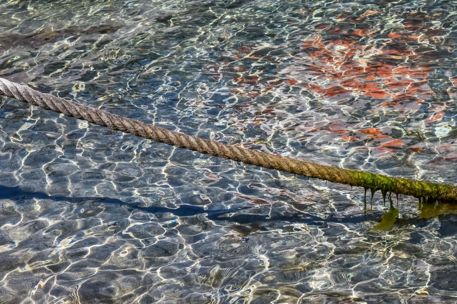 Nikon D3300 sample photo. Head rope, rope, nautical photography