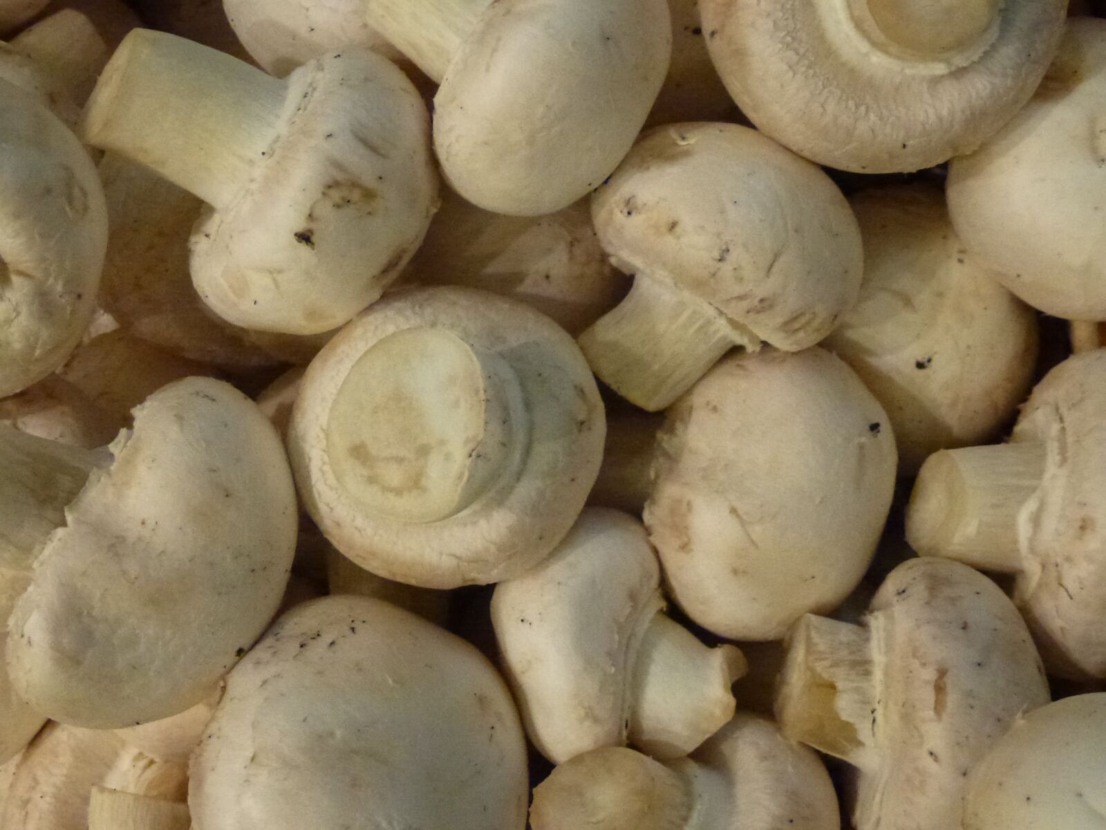 Panasonic Lumix DMC-ZS10 (Lumix DMC-TZ20 / Lumix DMC-TZ22) sample photo. Mushrooms, vegetable, supermarket photography