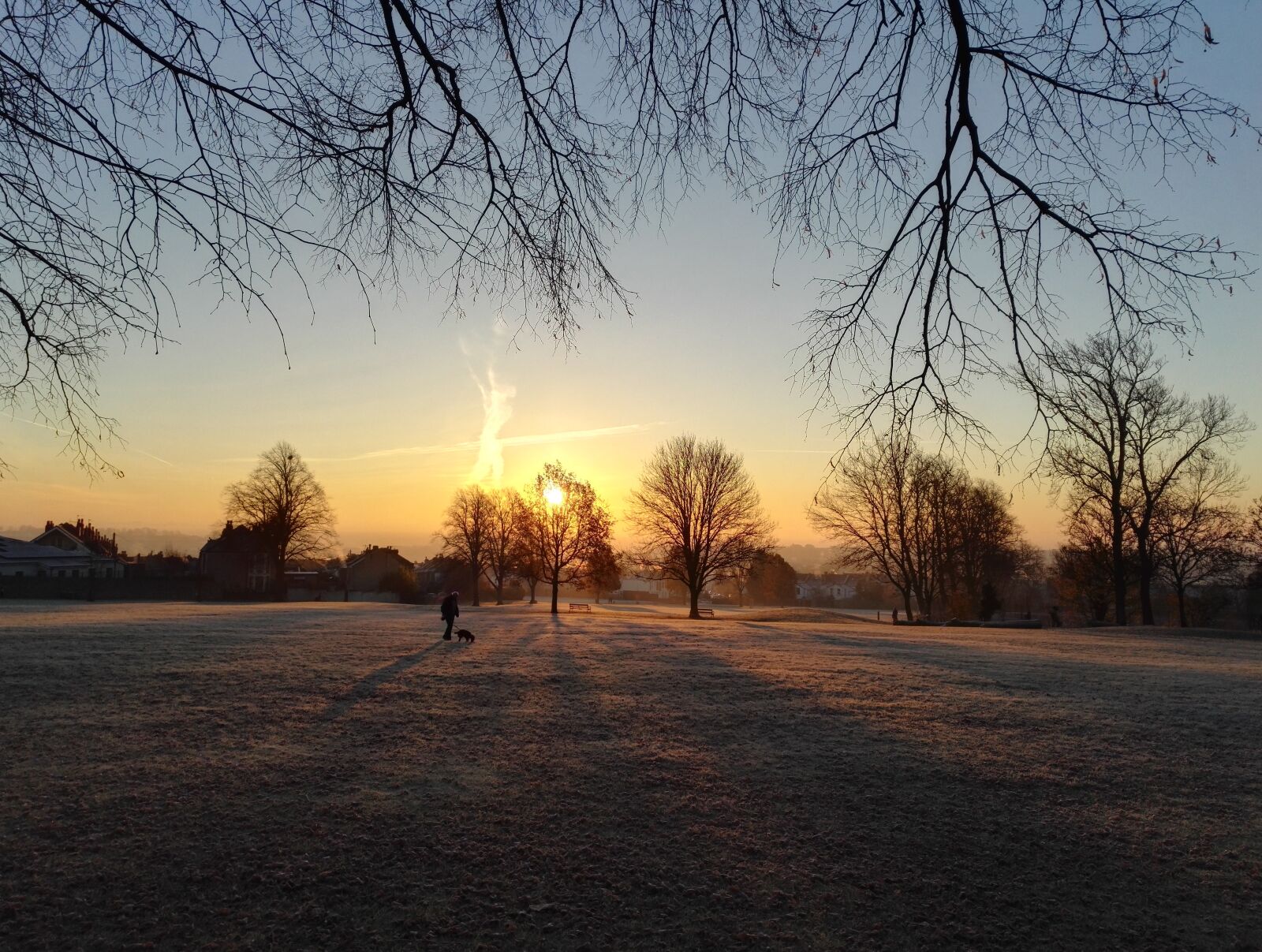 HUAWEI Honor 7 sample photo. Winter, frost, christmas photography