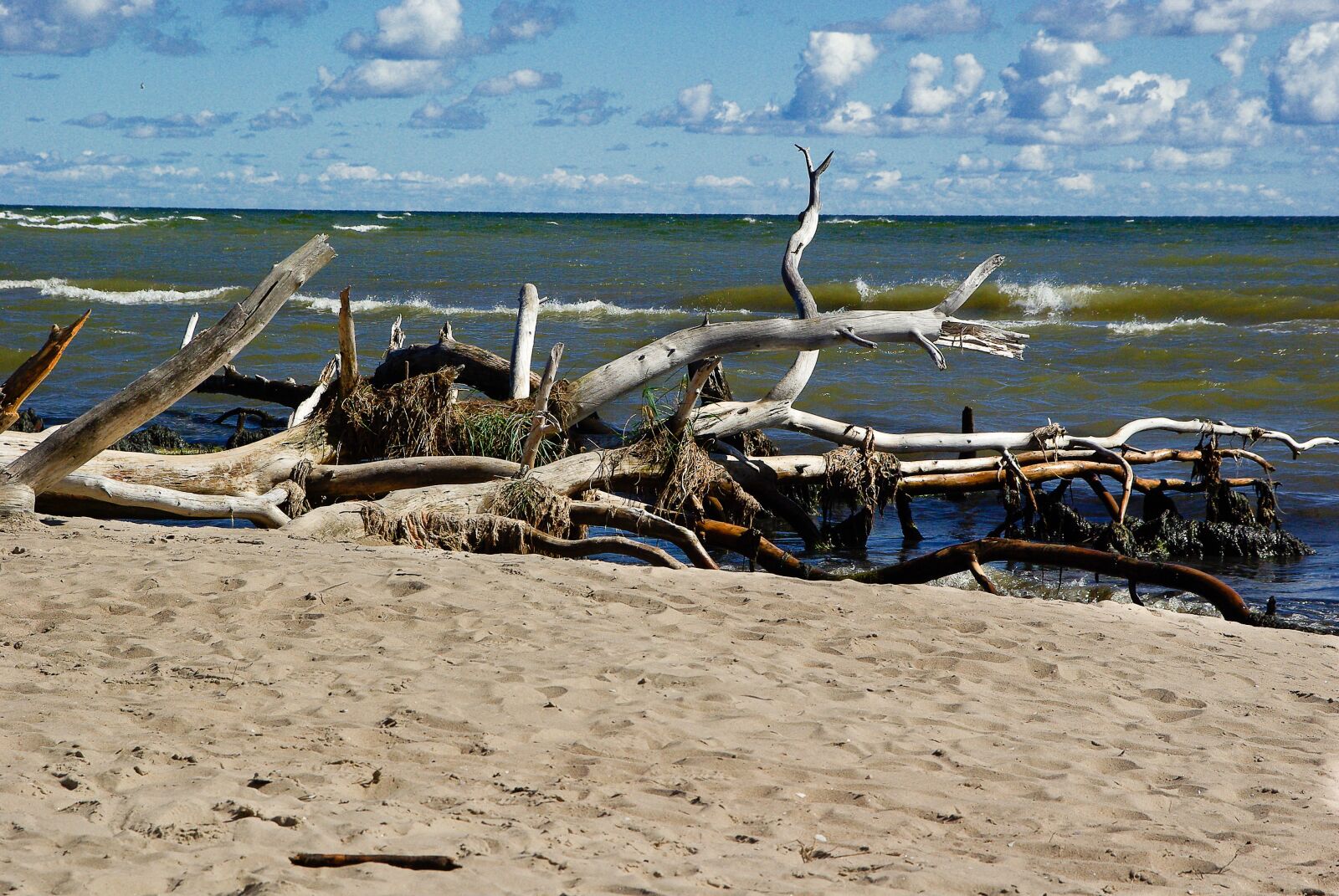 Pentax K10D sample photo. Baltic sea, latvia, driftwood photography
