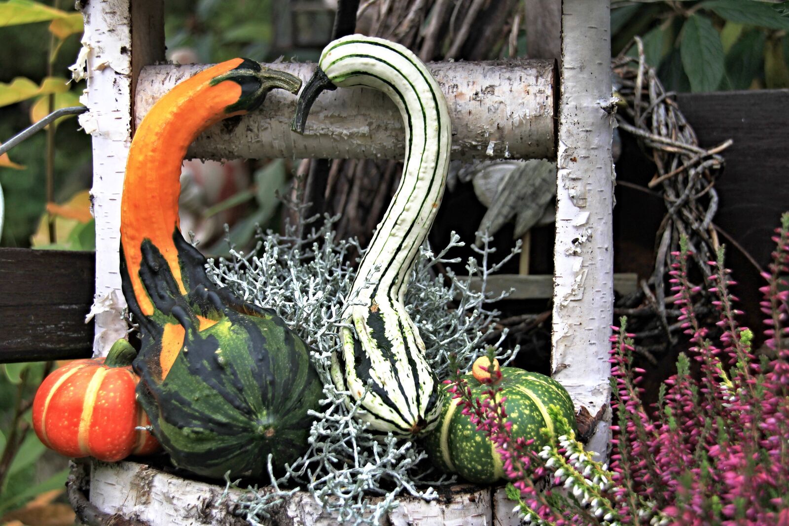 Canon EOS 500D (EOS Rebel T1i / EOS Kiss X3) sample photo. Decoration, autumn, decorative photography
