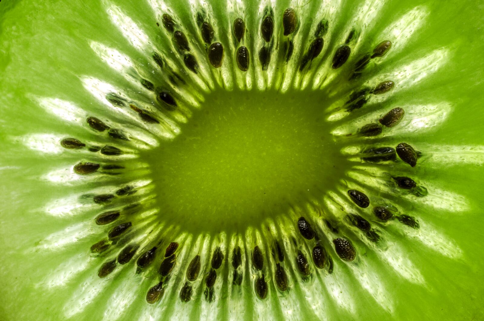 Nikon D5100 sample photo. Abstract, macro, fruit photography