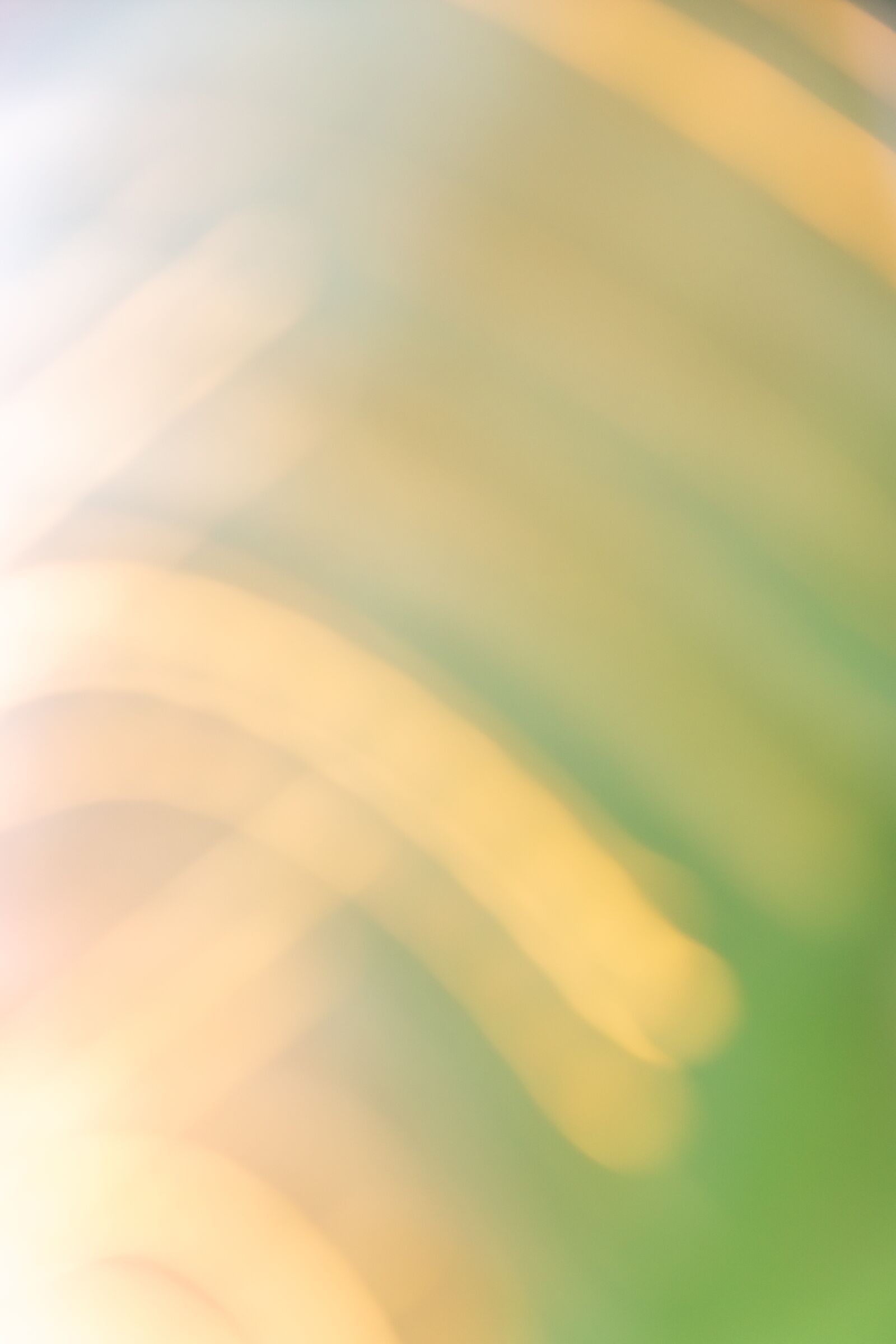 Nikon D5500 sample photo. Outdoor, blur, colorful photography