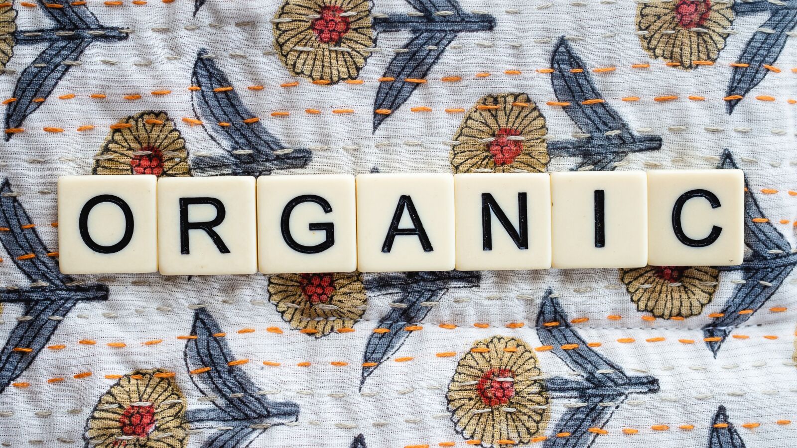 Olympus OM-D E-M10 III sample photo. Organic, healthy, harvest photography