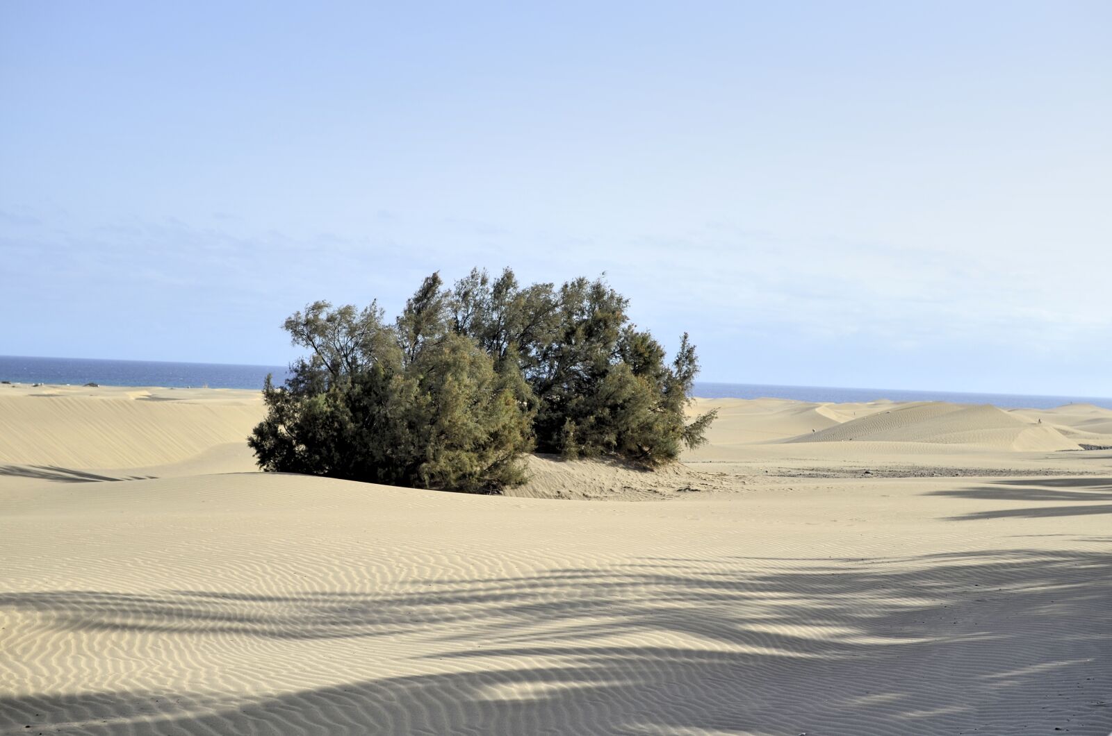 Nikon D5100 sample photo. Gran canaria, the sand photography