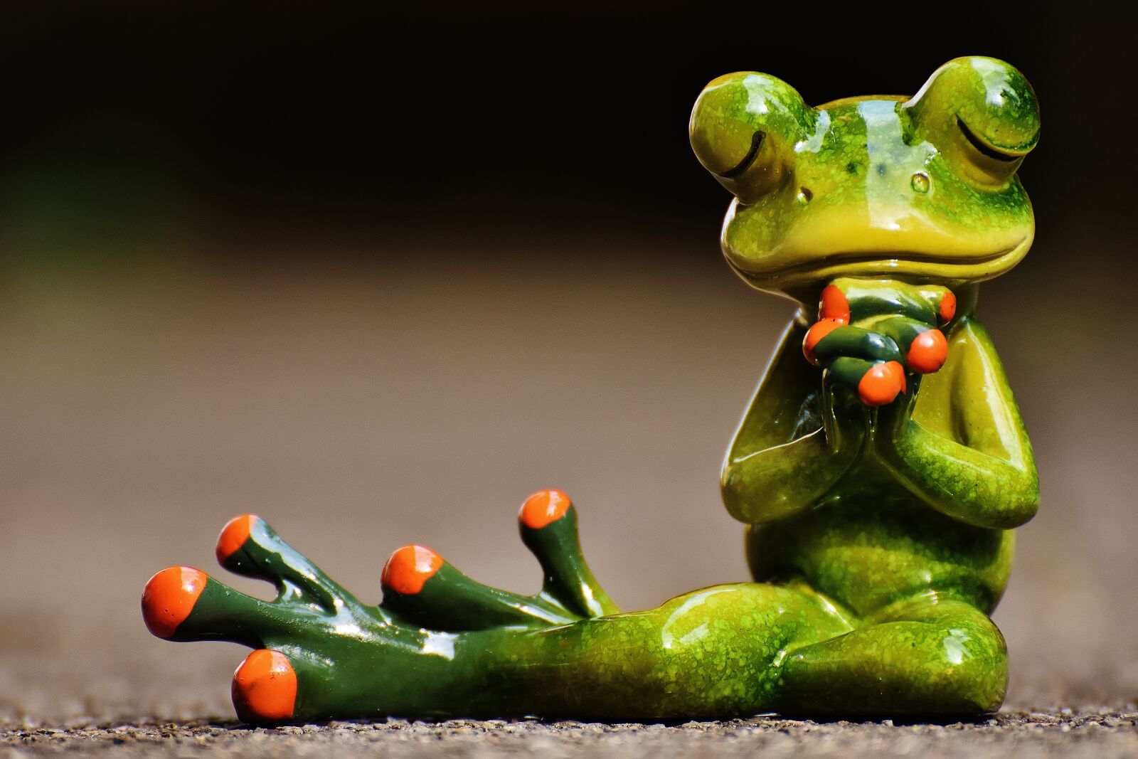 Nikon D7200 sample photo. Frog, pray, harmony photography