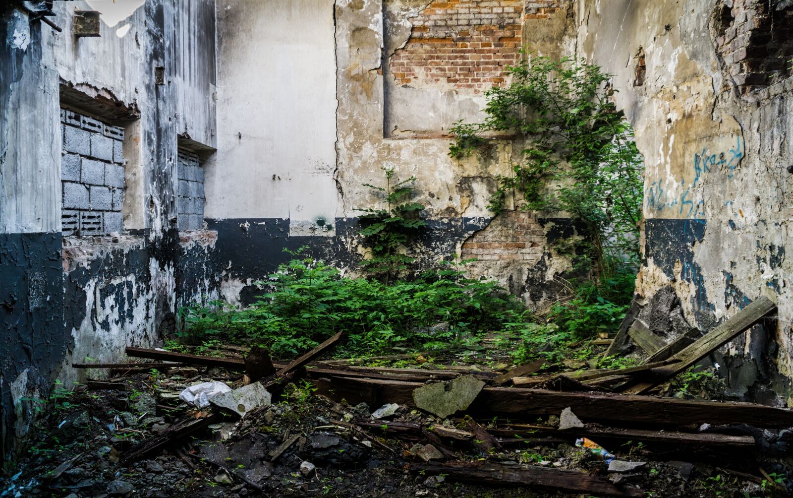 Sony a6000 sample photo. Mill, an abandoned place photography