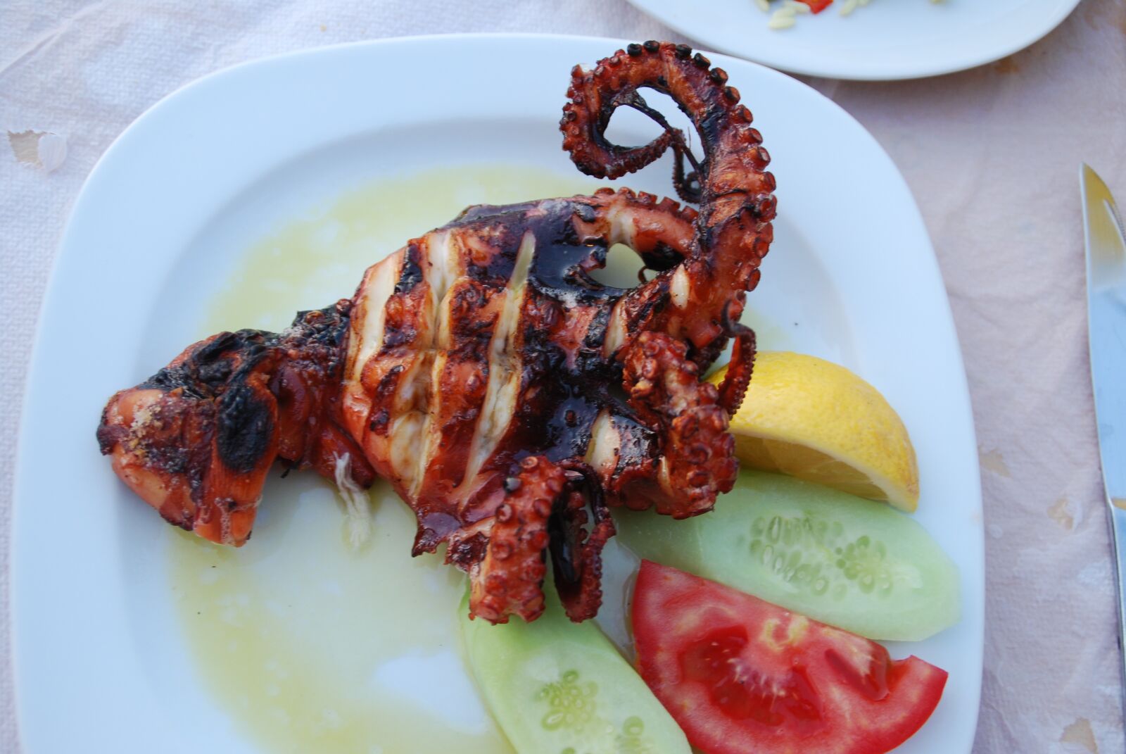 Nikon D60 sample photo. Octopus, grilled, calamari photography