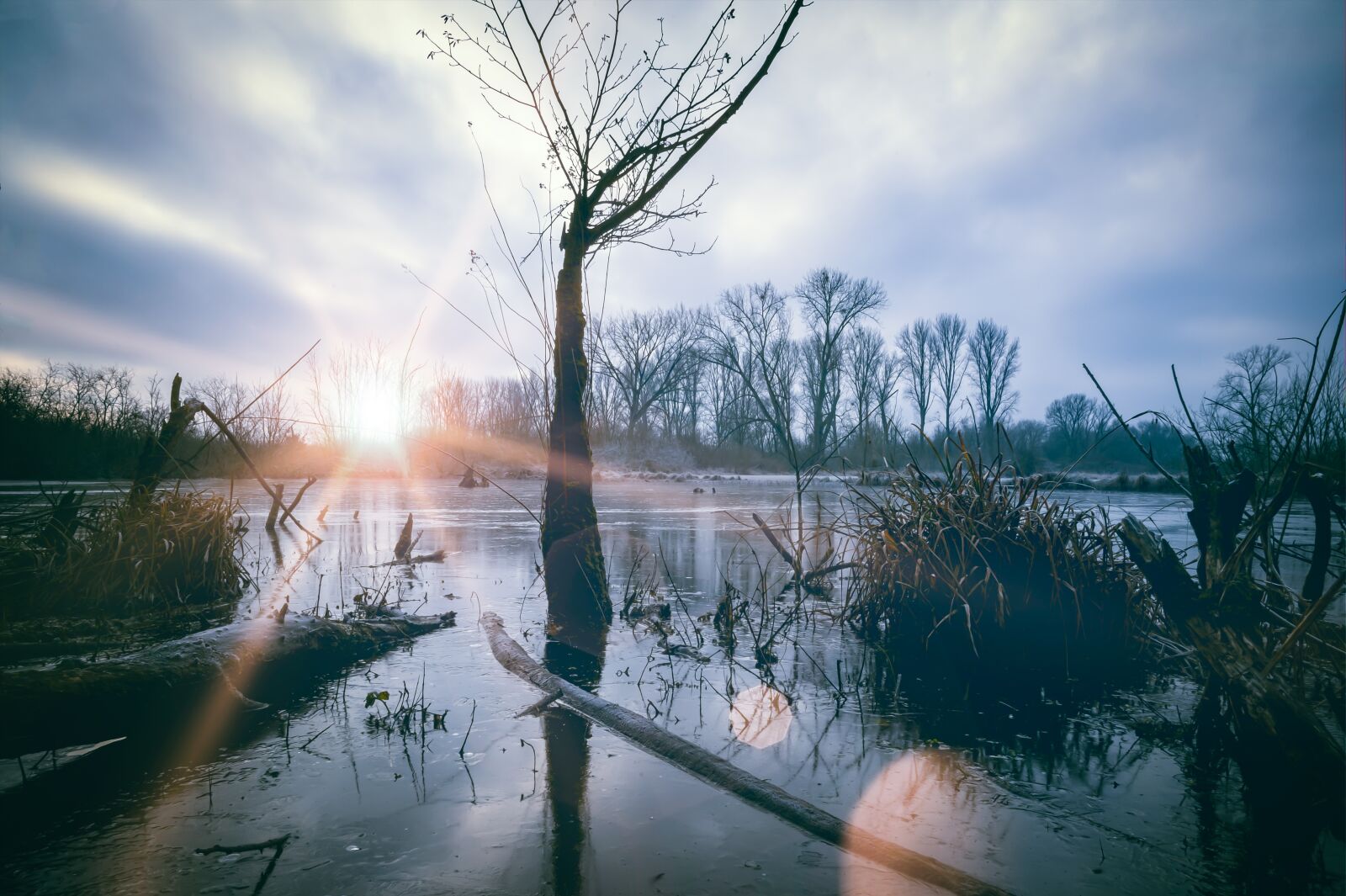 Nikon Z6 sample photo. Nature, rest, peaceful photography
