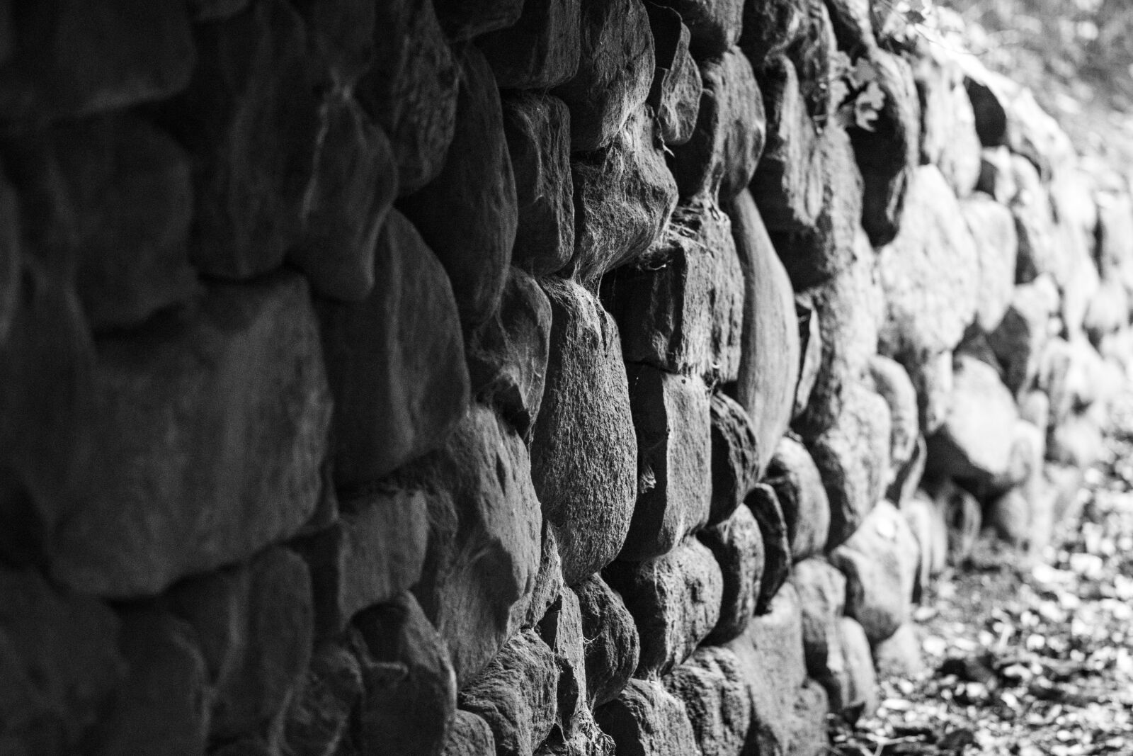 Canon EOS 600D (Rebel EOS T3i / EOS Kiss X5) + Canon EF 85mm F1.8 USM sample photo. Old wall, stone wall photography