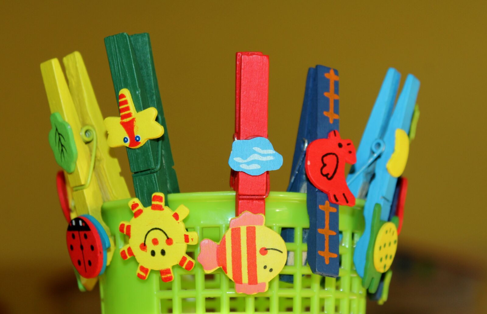 Canon EOS 1200D (EOS Rebel T5 / EOS Kiss X70 / EOS Hi) sample photo. Buckles, paper clips, strain photography