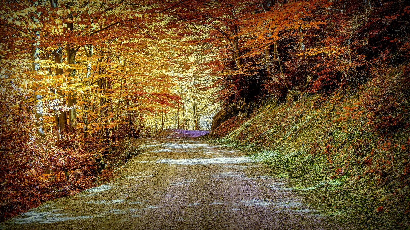 Sony a6000 sample photo. Autumn, path, landscape photography