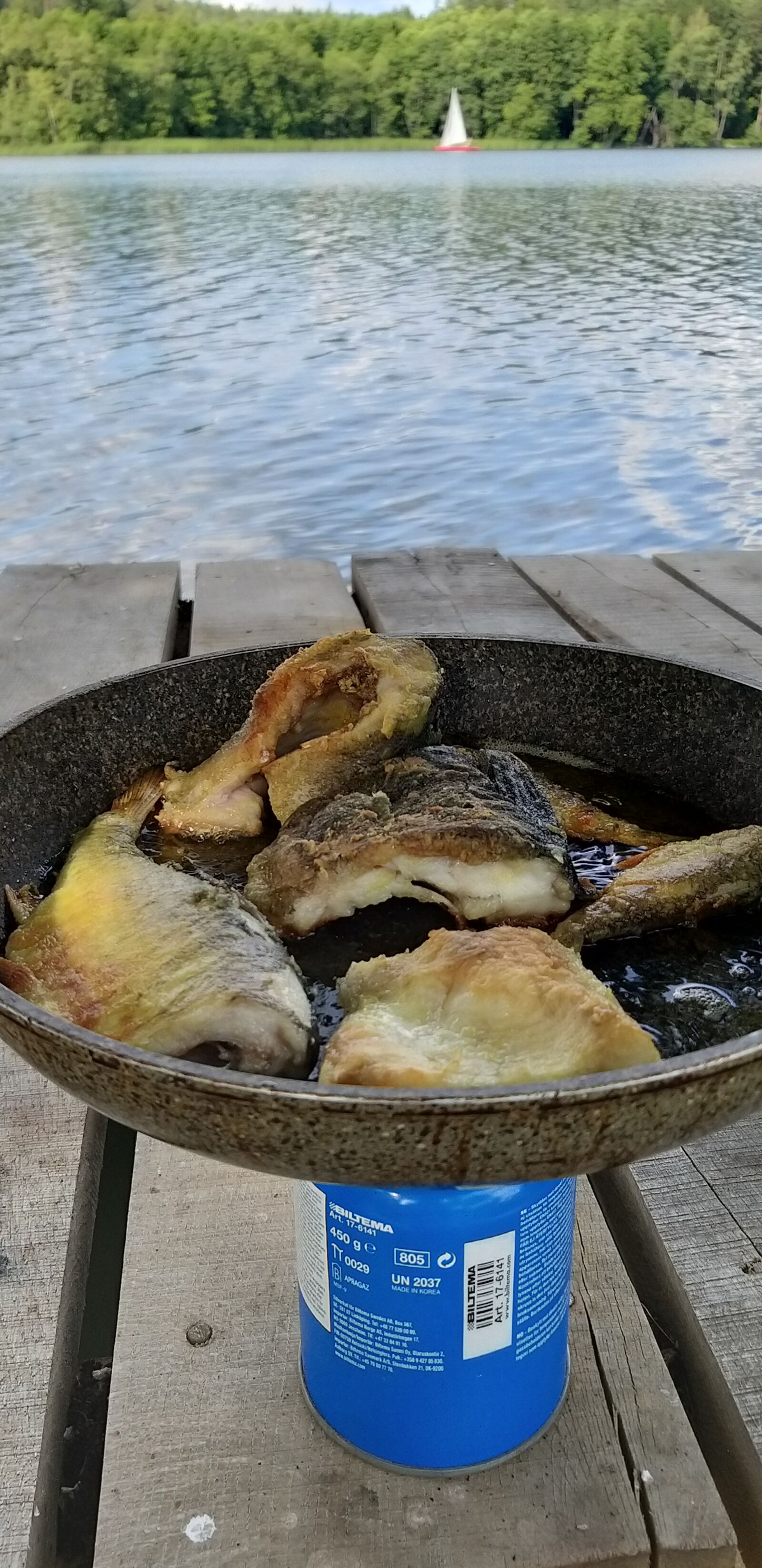 Samsung Galaxy A9 (2018) sample photo. Fish, lake, sails photography