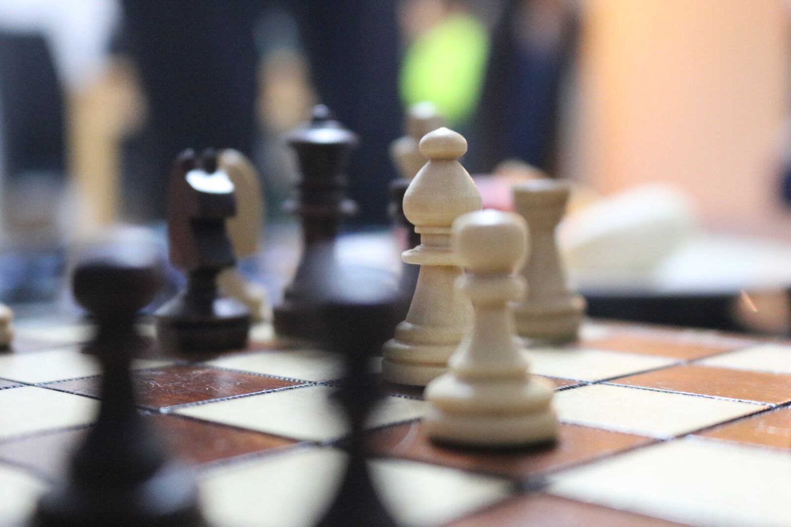 Canon EOS 750D (EOS Rebel T6i / EOS Kiss X8i) sample photo. Chess, horse, springer chess photography