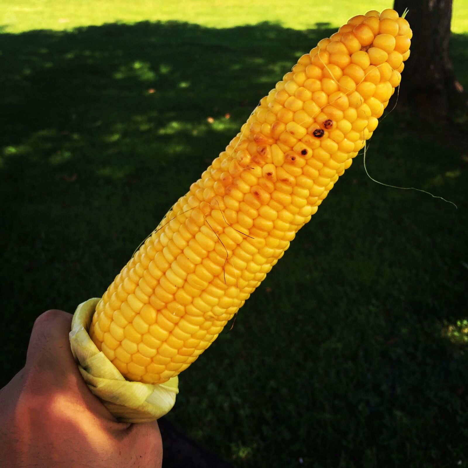 iPhone 6 Plus back camera 4.15mm f/2.2 sample photo. Summer, cone, snack photography