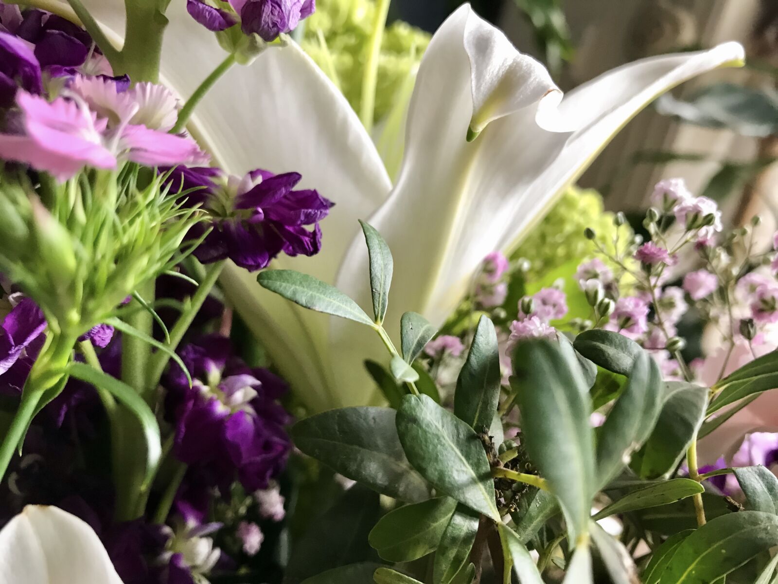 iPhone 7 back camera 3.99mm f/1.8 sample photo. Bouquet, flowers, lilies photography