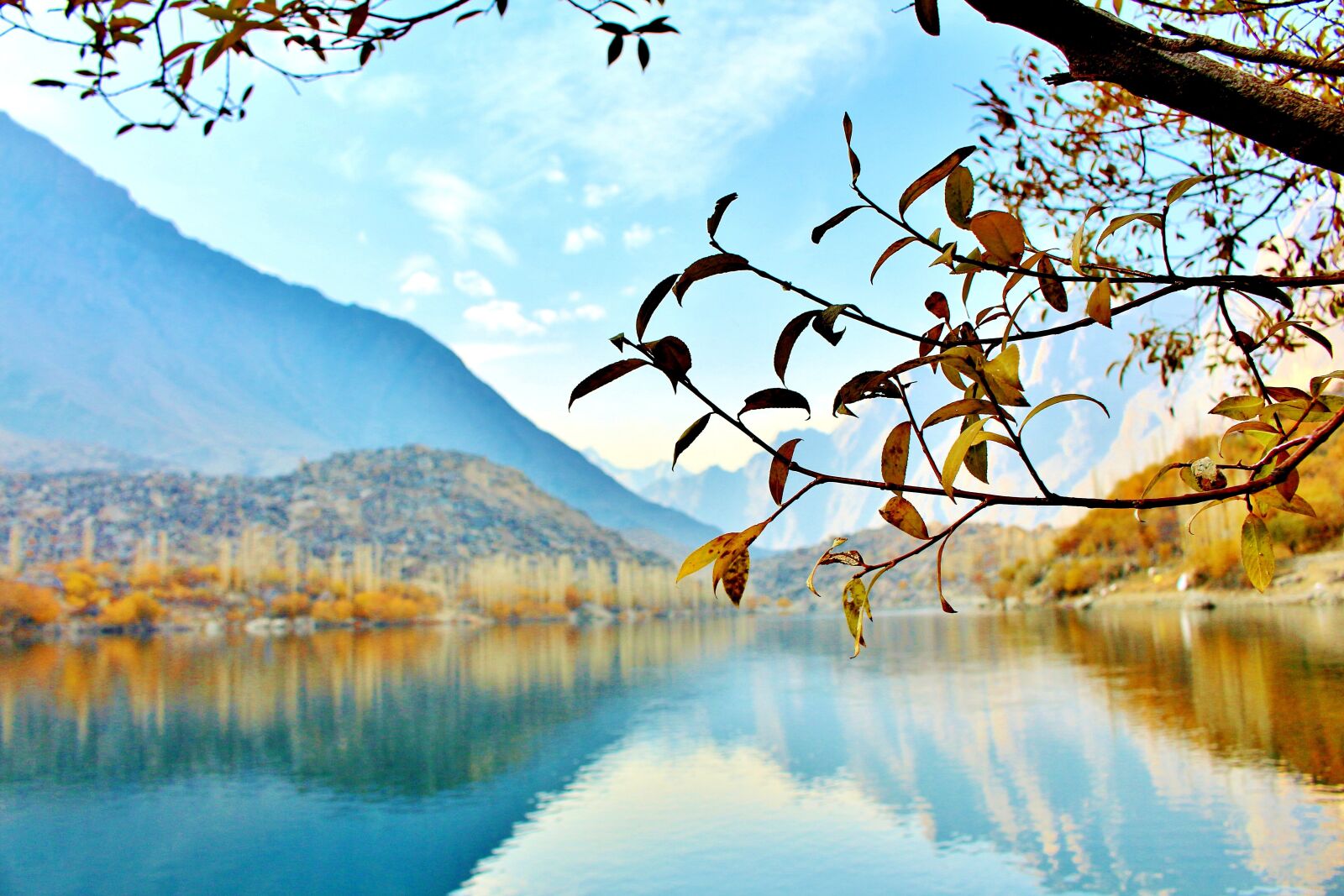 Canon EOS 700D (EOS Rebel T5i / EOS Kiss X7i) sample photo. Tree, lake, pakistan photography