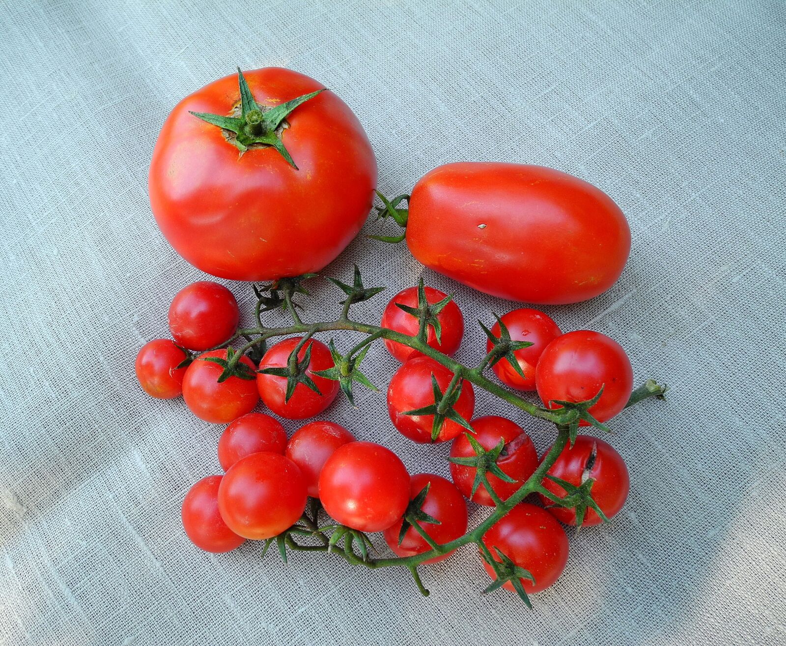 Nikon Coolpix P7000 sample photo. Tomatoes, vegetables, red photography