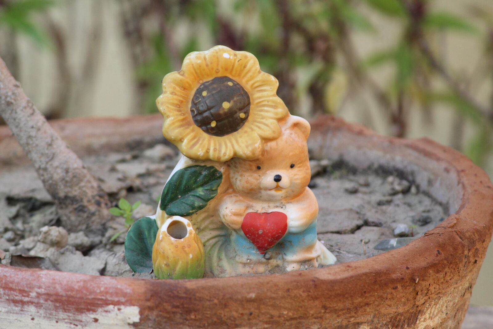 Canon EOS 1200D (EOS Rebel T5 / EOS Kiss X70 / EOS Hi) sample photo. Plant, decoration, display item photography