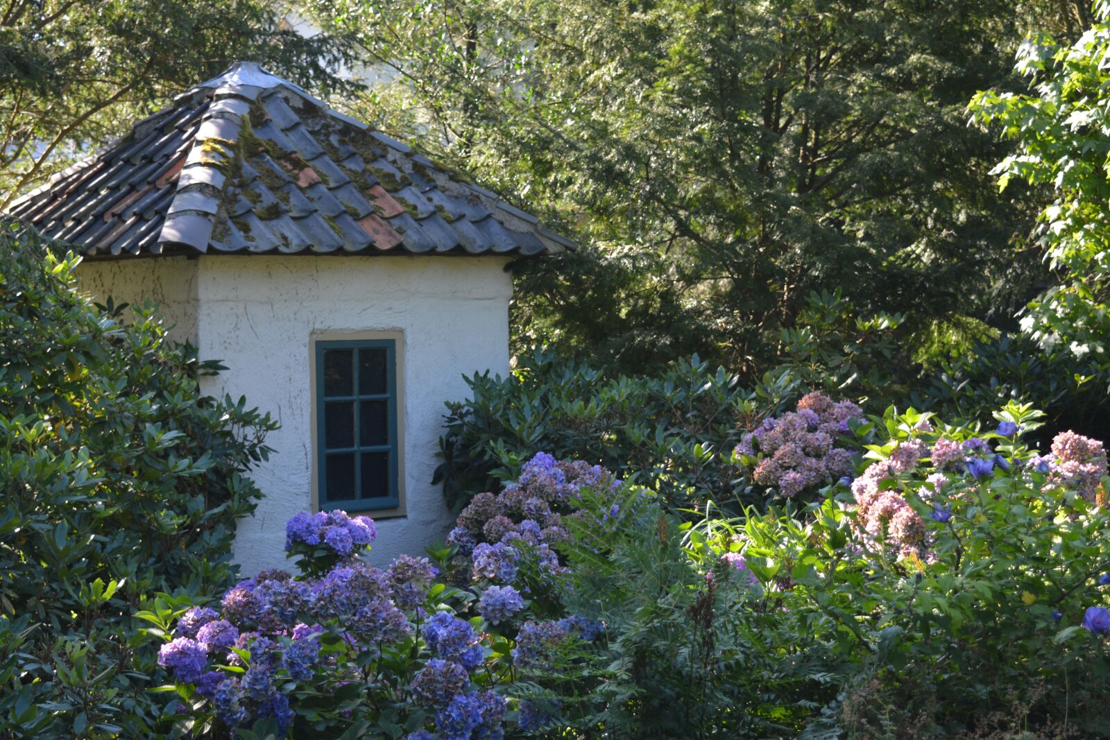 Nikon D5200 sample photo. Forest cabin, forest, cabin photography