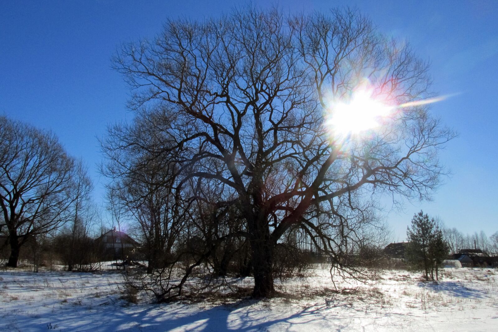 Canon PowerShot SX160 IS sample photo. Winter, landscape, sun photography