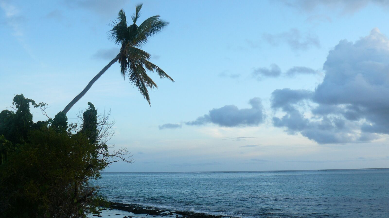 Panasonic DMC-FZ8 sample photo. Palm, clouds, fiji photography