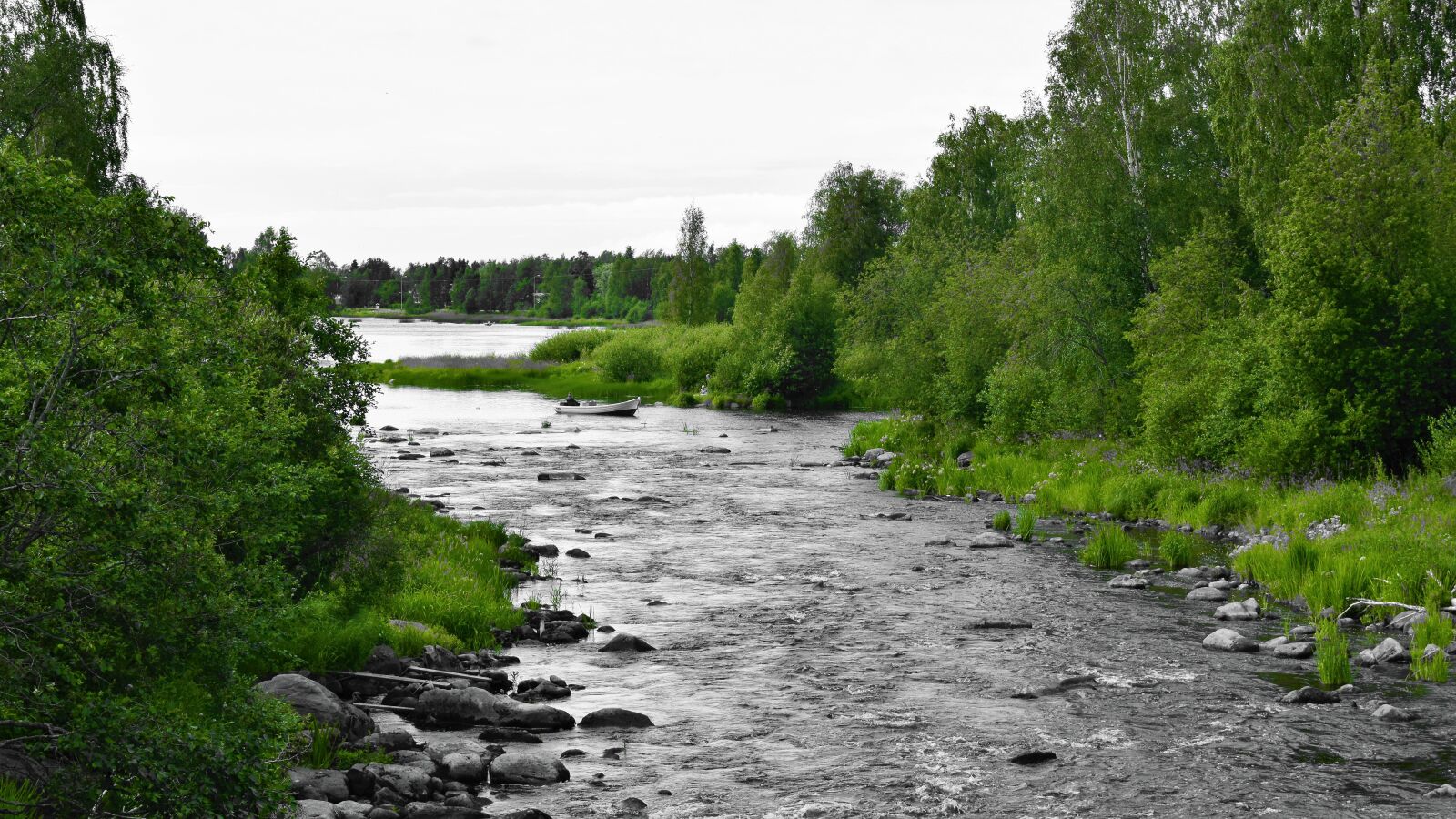 Nikon D3300 sample photo. River, forest, water photography