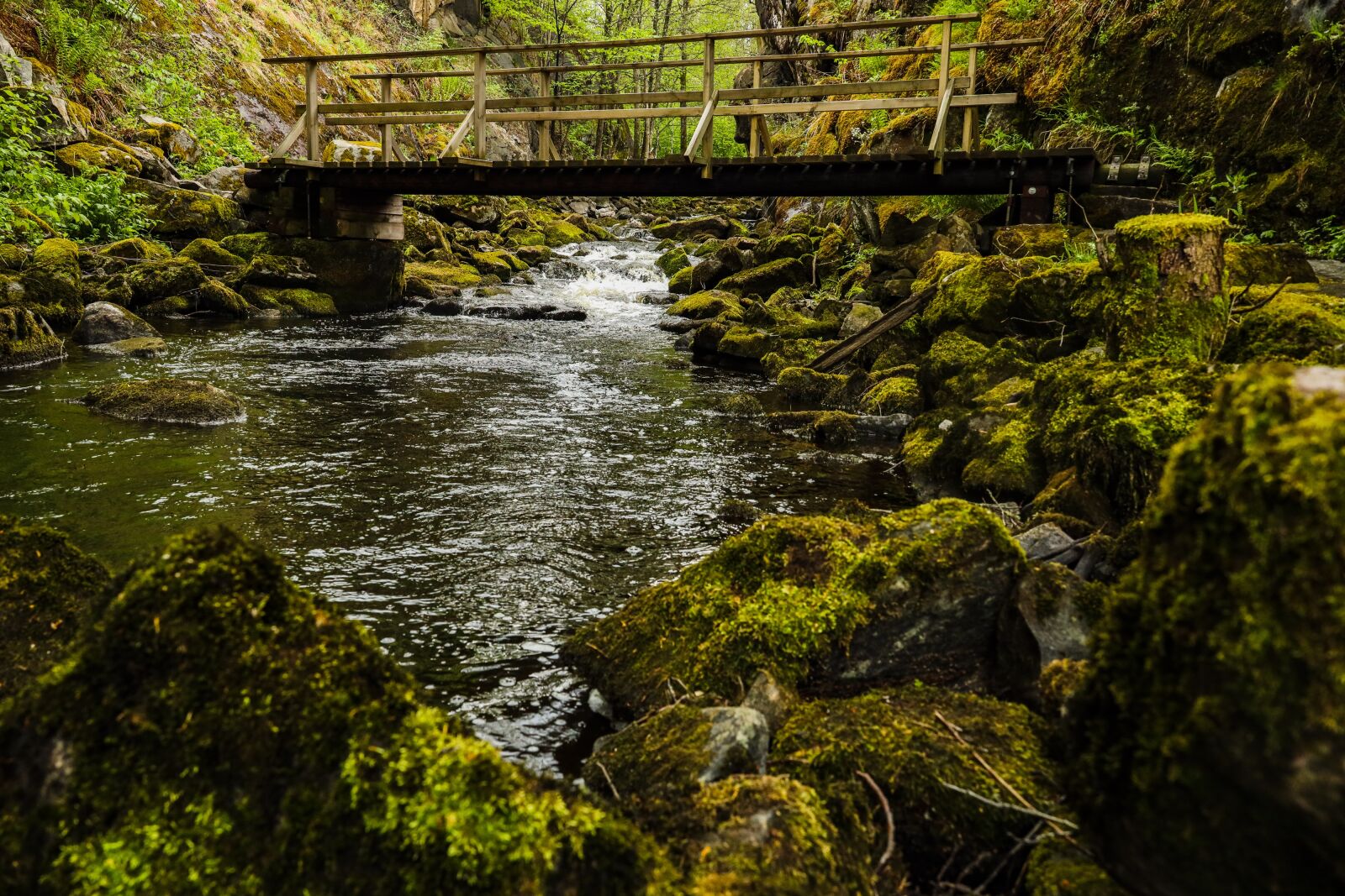 Canon EOS R sample photo. River, water, nature photography