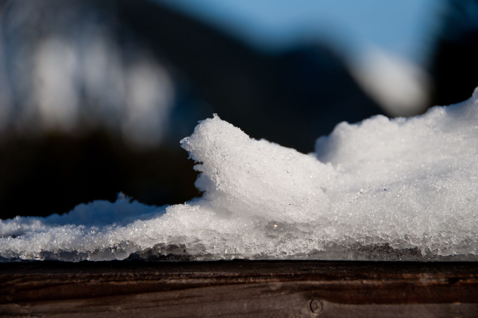 Nikon D5000 sample photo. Ice, dew, melt photography