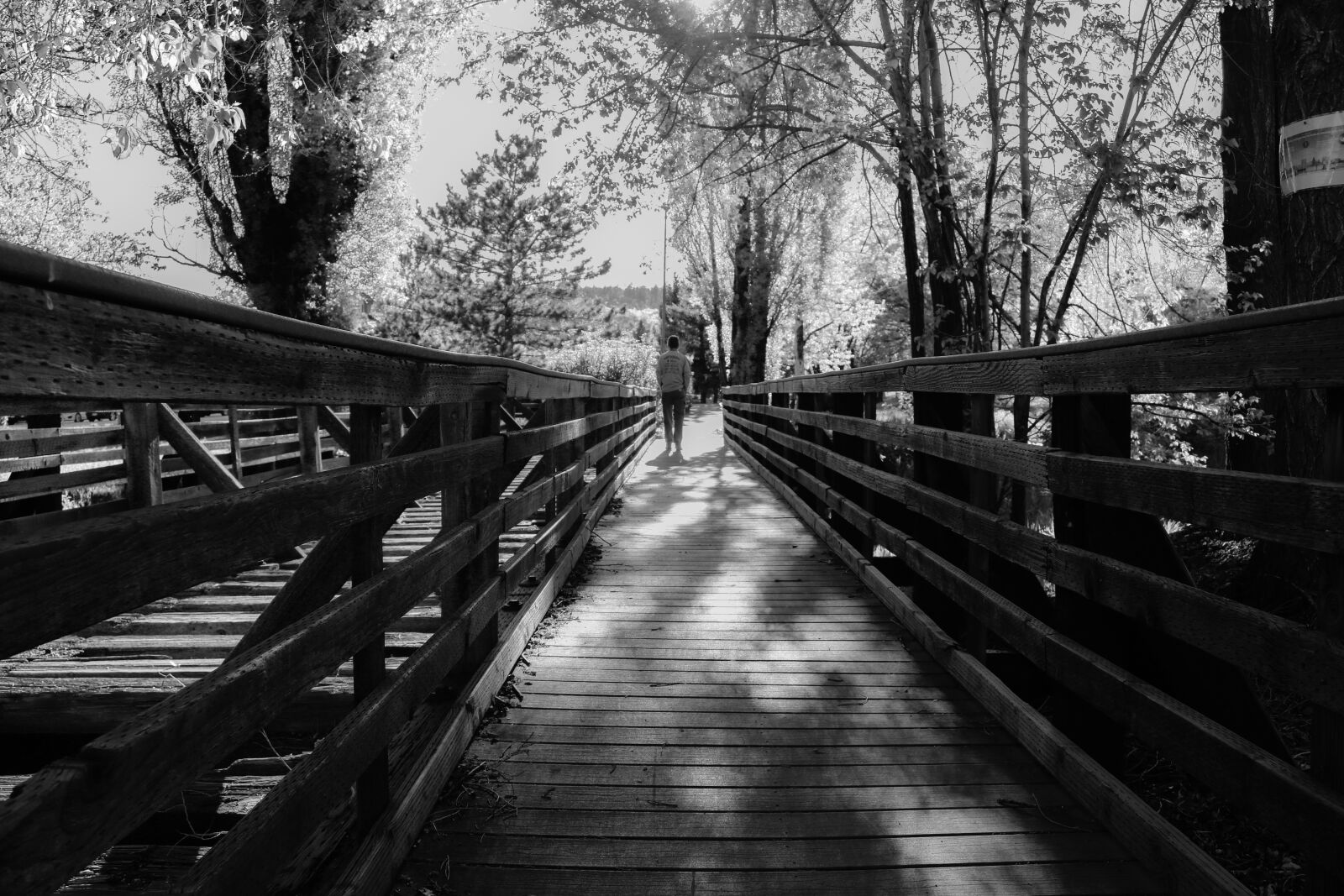 Canon EOS 750D (EOS Rebel T6i / EOS Kiss X8i) + Canon EF-S 18-55mm F3.5-5.6 IS STM sample photo. Bridge, flagstaff, tourist photography