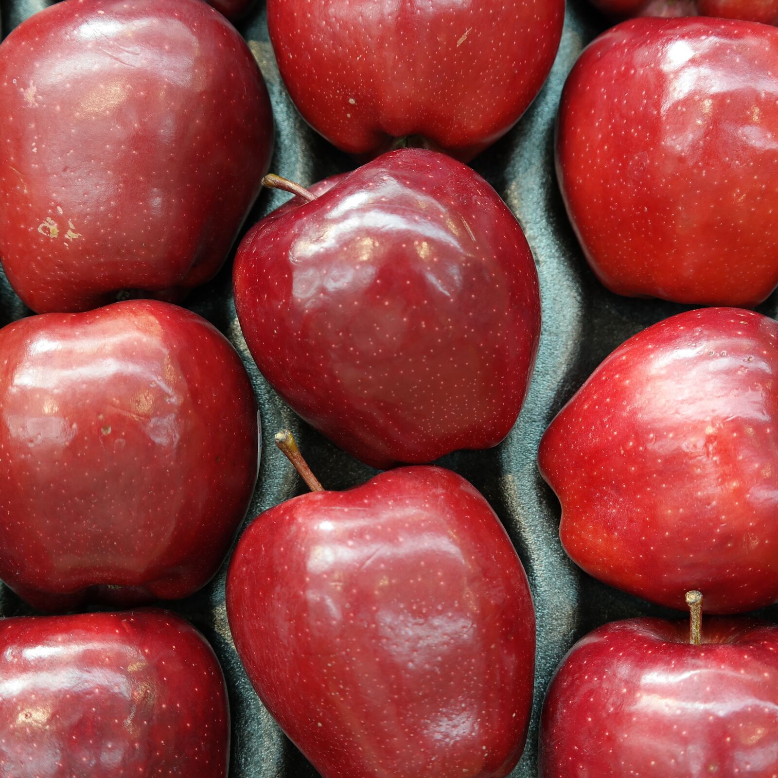 Samsung NX30 sample photo. Red, apples, fruit photography