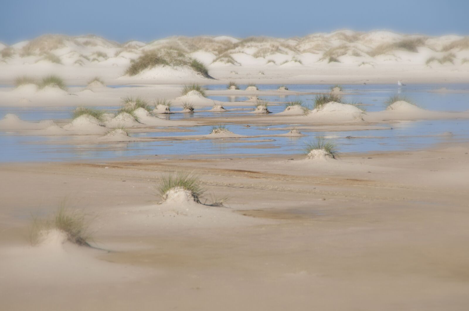Nikon D300S sample photo. Kniepsand, island, amrum photography