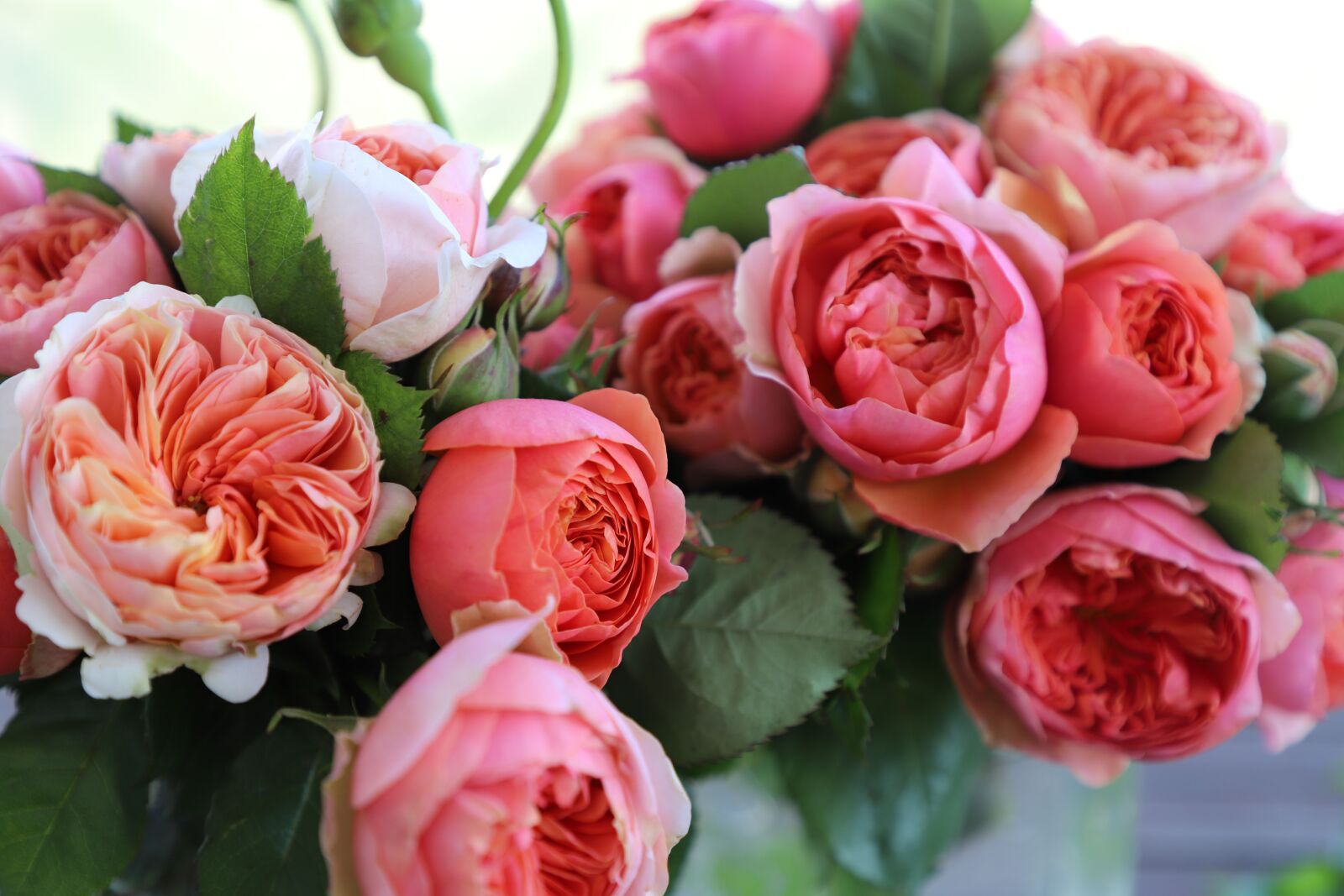 Canon EOS 6D Mark II sample photo. Rose, bouquet, flower arrangement photography