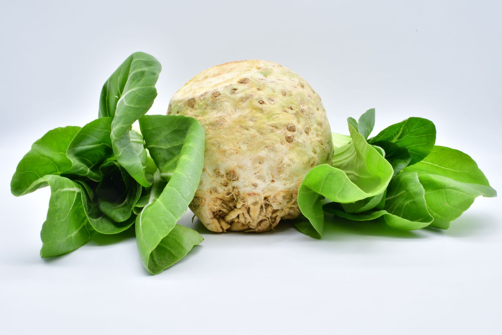 Nikon D7500 sample photo. Celery, pak-choi, green photography