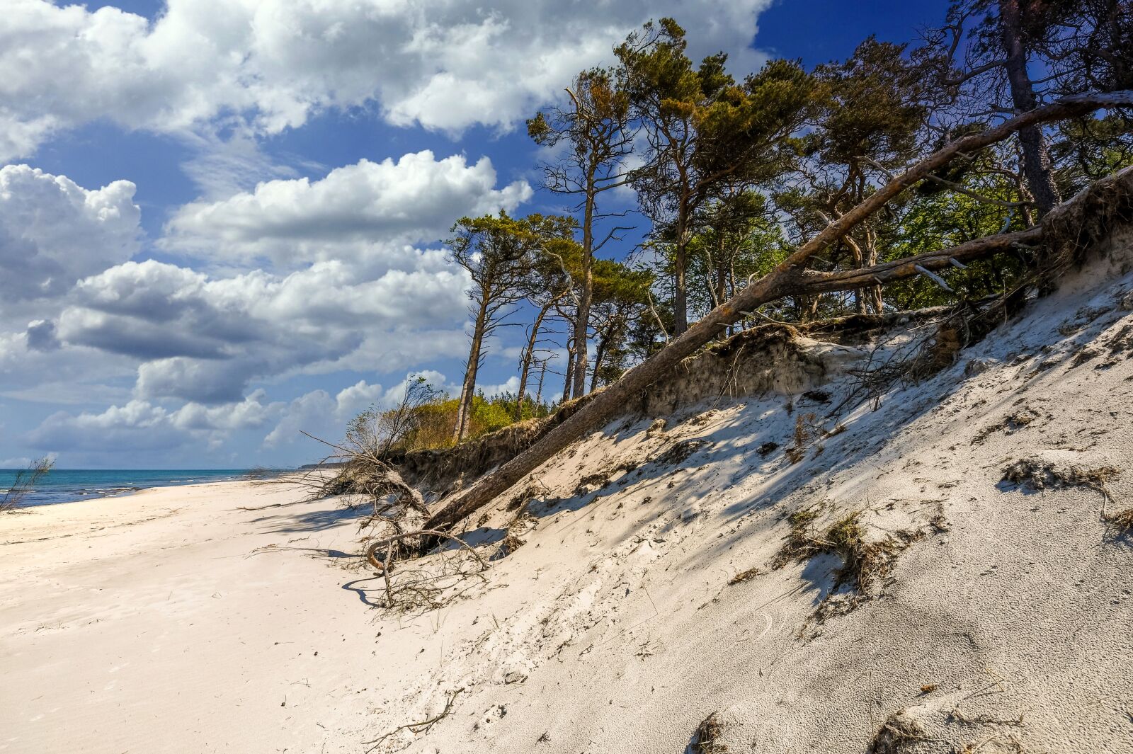 Nikon D850 sample photo. Beach, sand beach, coast photography