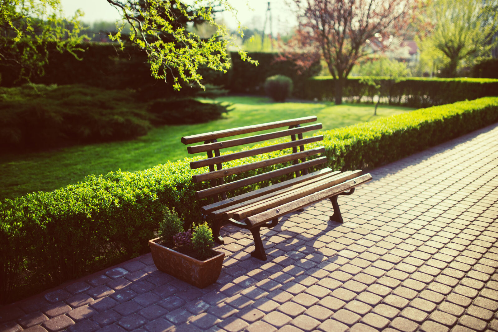 Canon EOS 6D + Sigma 35mm F1.4 DG HSM Art sample photo. Bench, in, the, garden photography