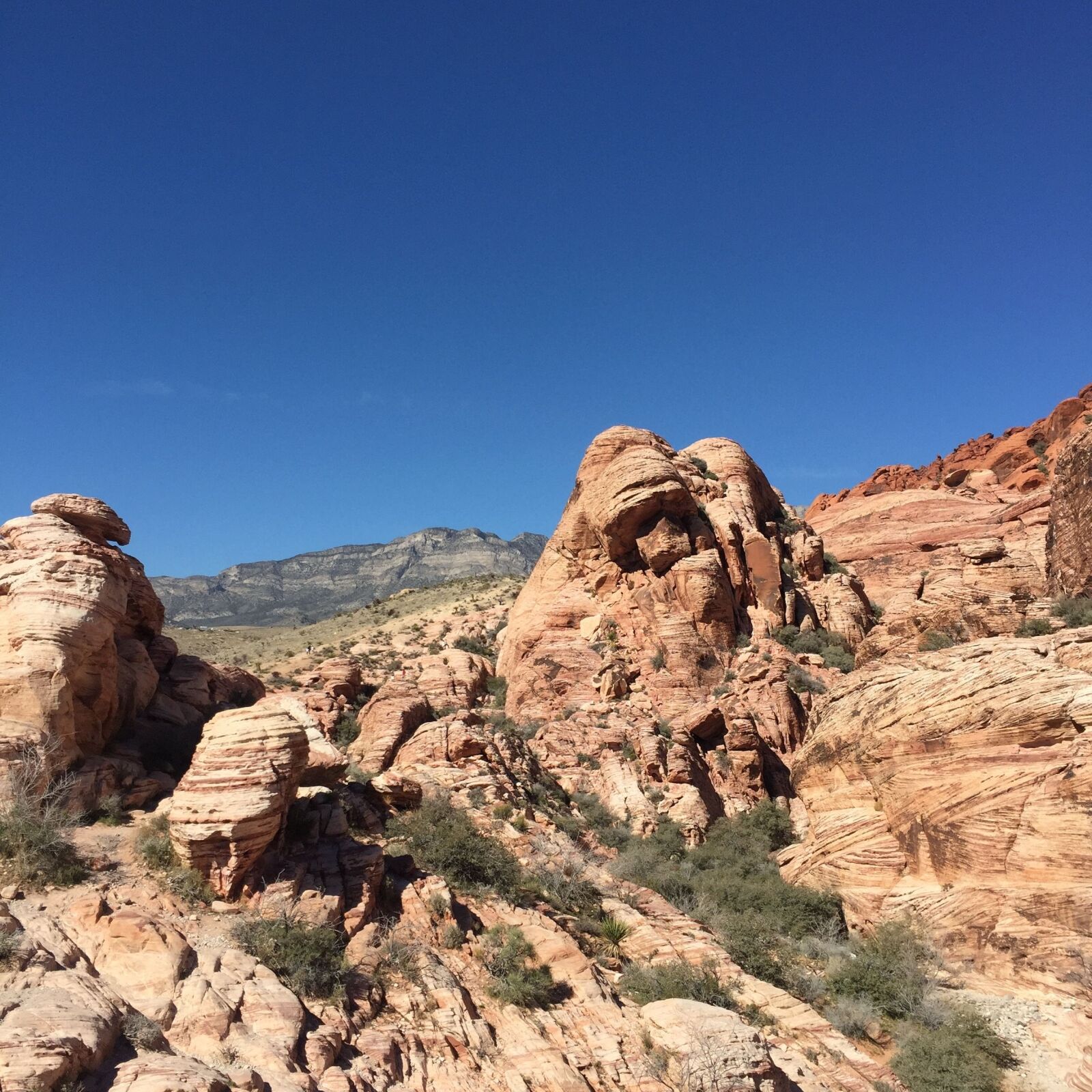 Apple iPhone 6 sample photo. United states tourism, red photography