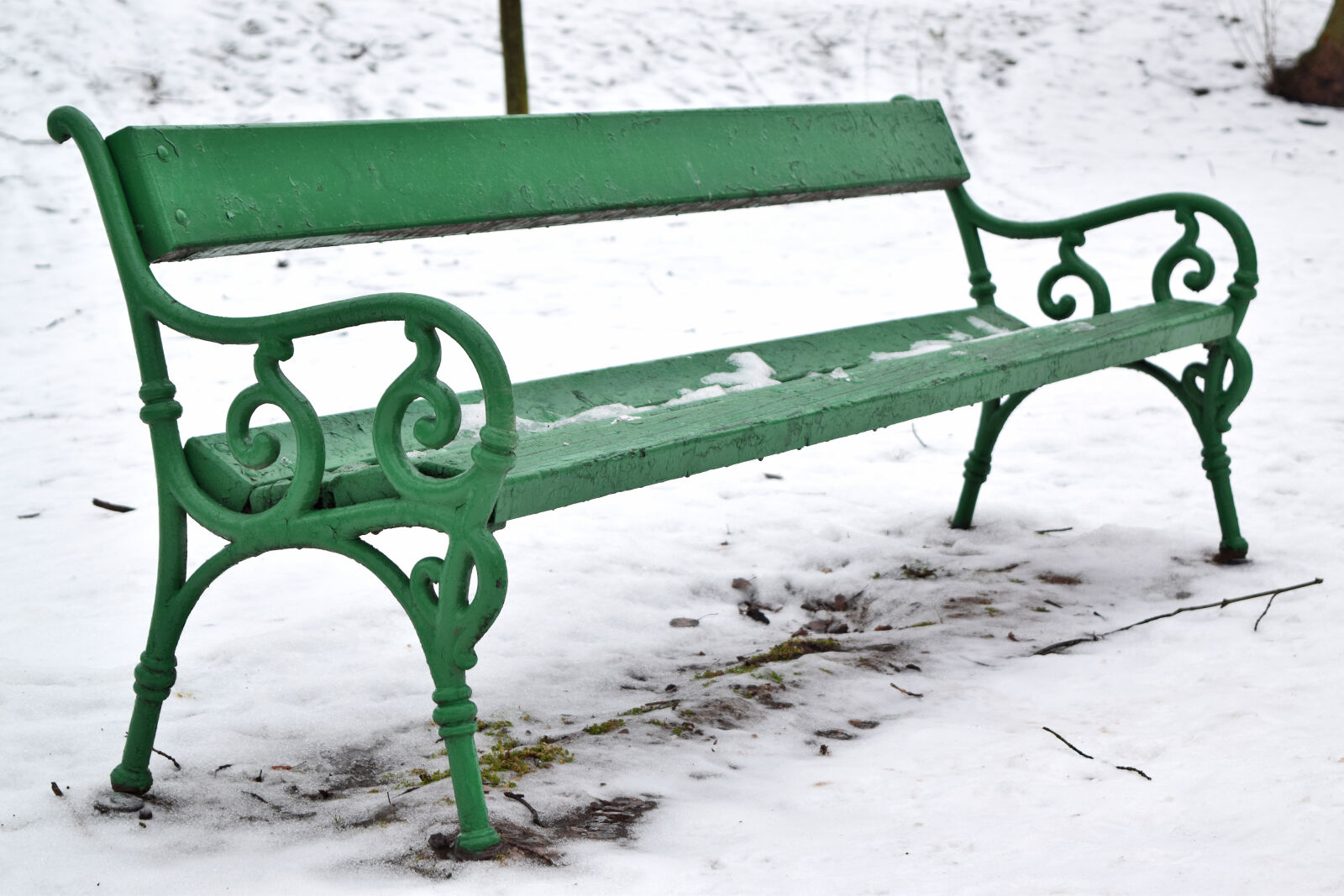 Nikon D3300 sample photo. Bench, marymont, park, kaskada photography