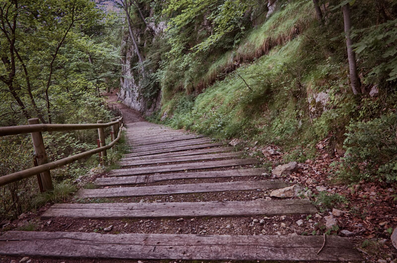 Fujifilm X-A2 sample photo. Stairs, forest, down photography