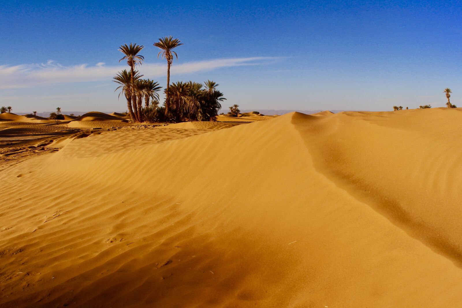 Canon EOS 700D (EOS Rebel T5i / EOS Kiss X7i) sample photo. Desert, sand, cross photography