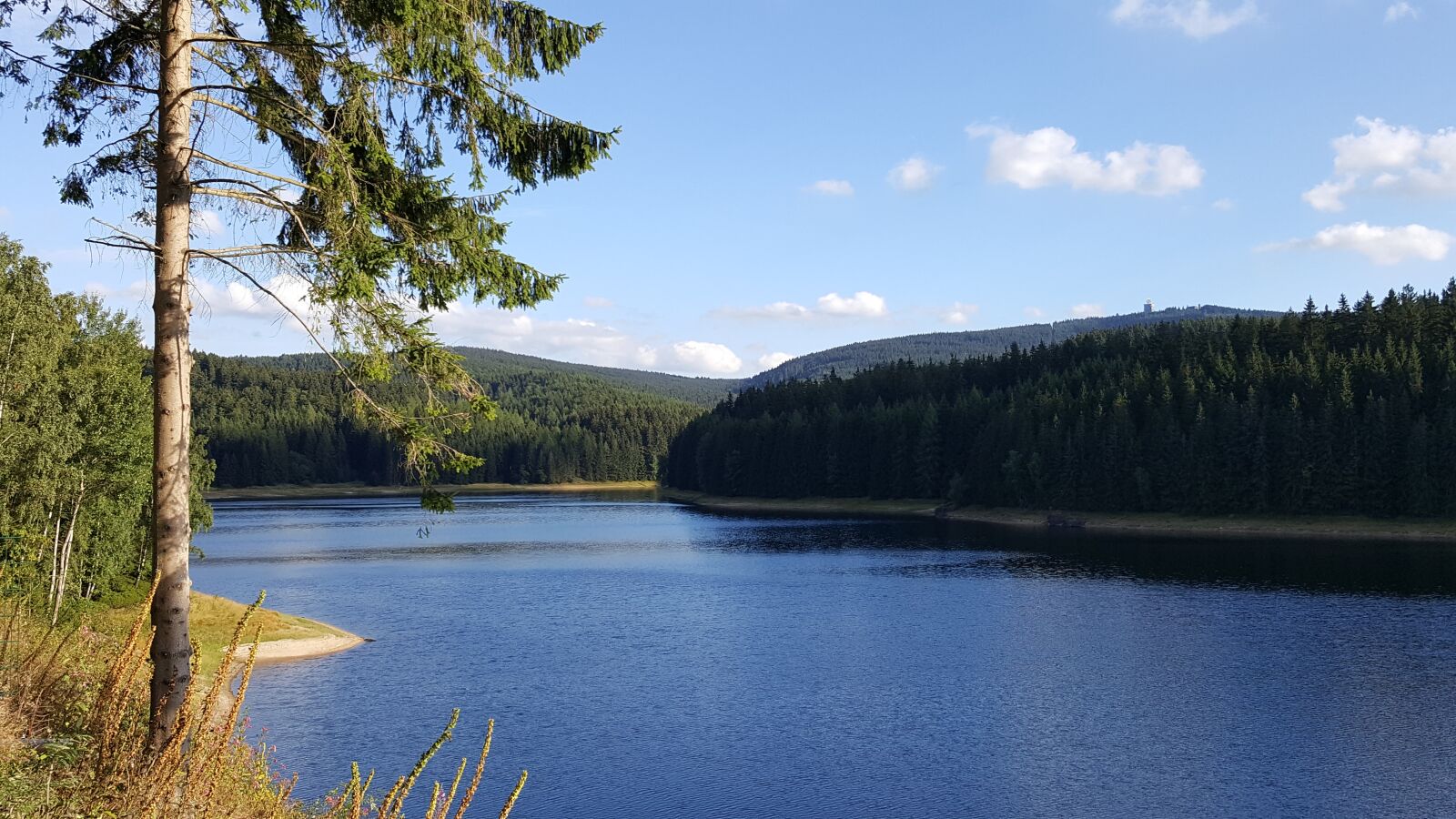 Samsung Galaxy S6 sample photo. Lake, fir tree, water photography