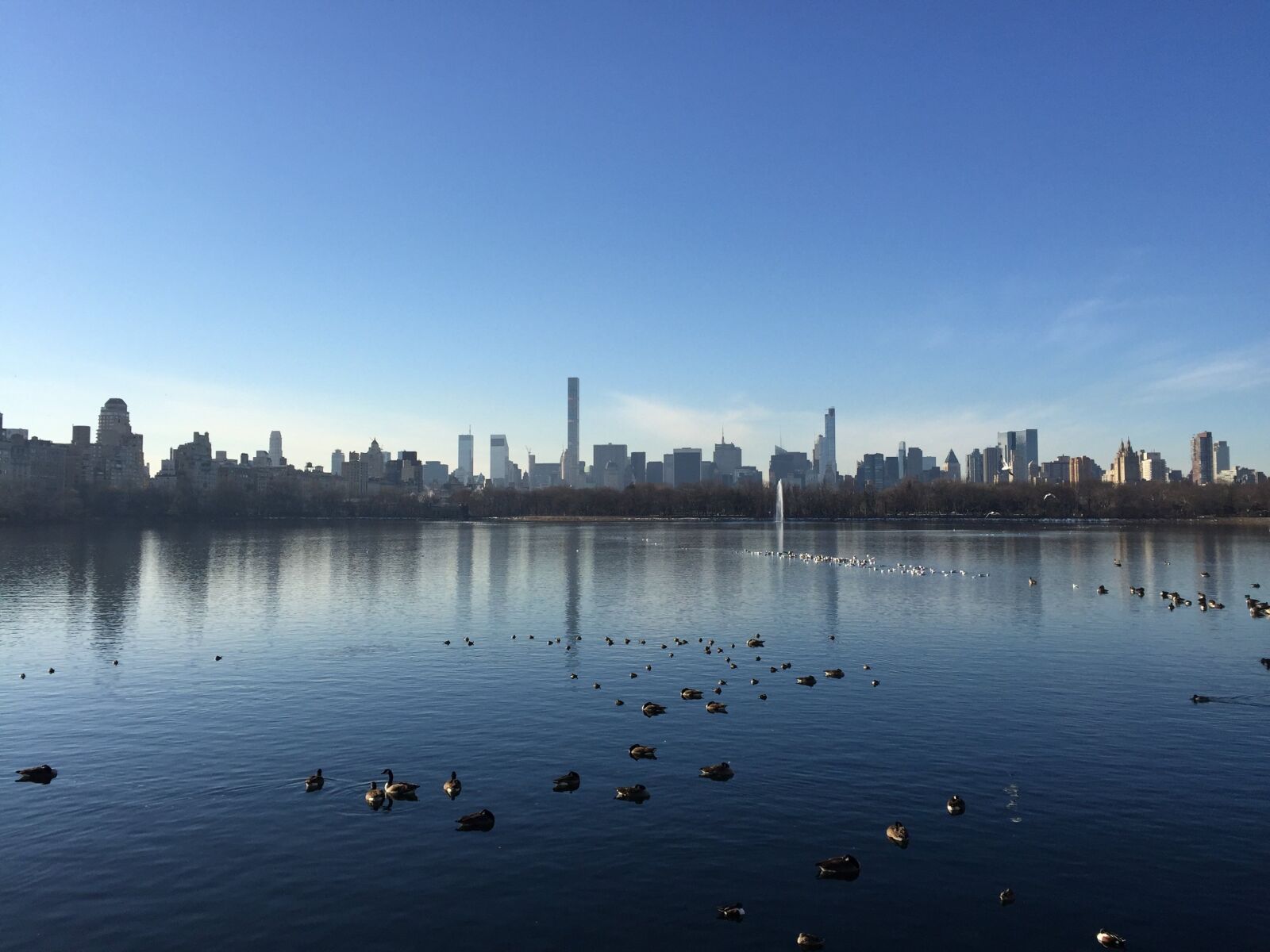 iPhone 6 Plus back camera 4.15mm f/2.2 sample photo. New york, panorama, city photography