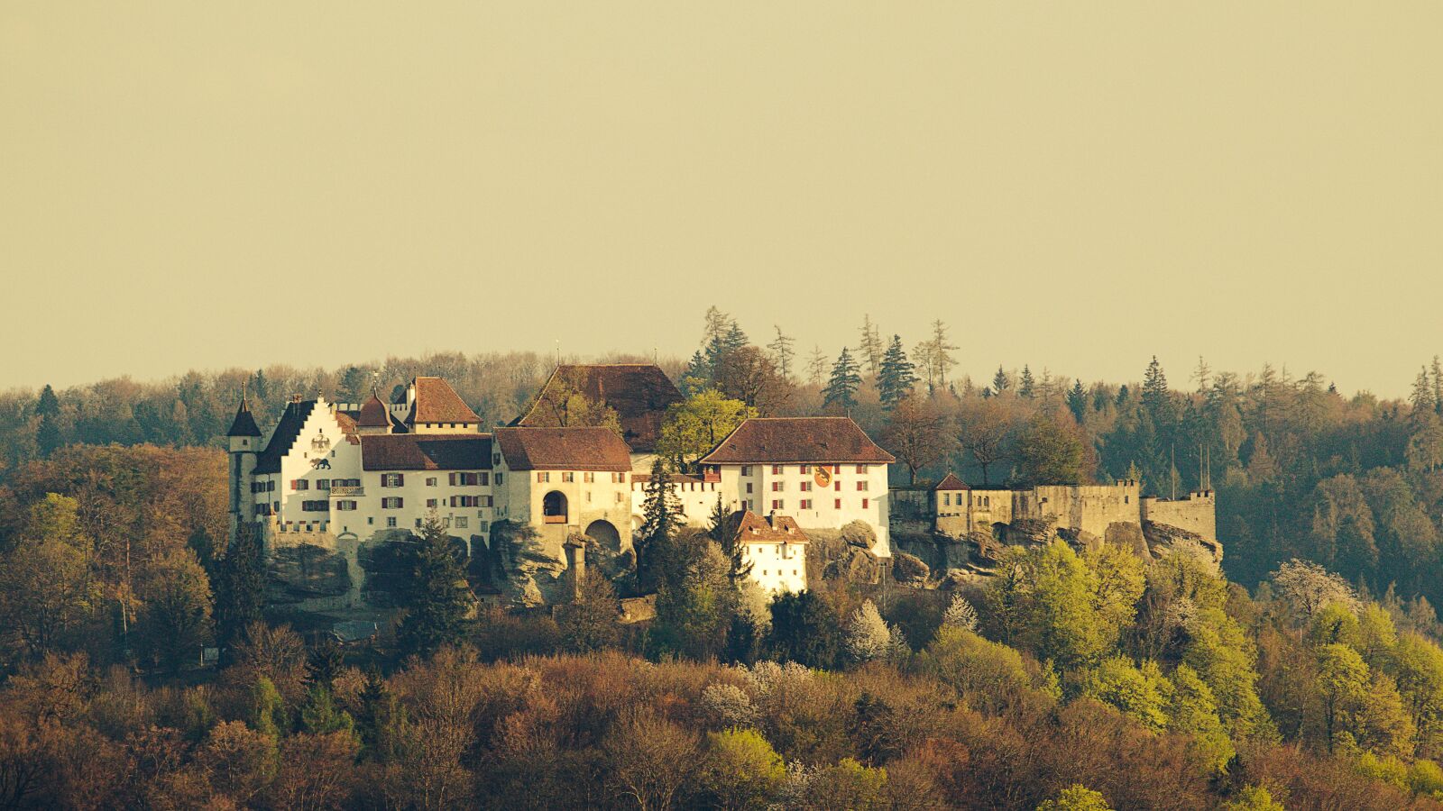 Canon EOS M5 sample photo. Castle, forest, switzerland photography