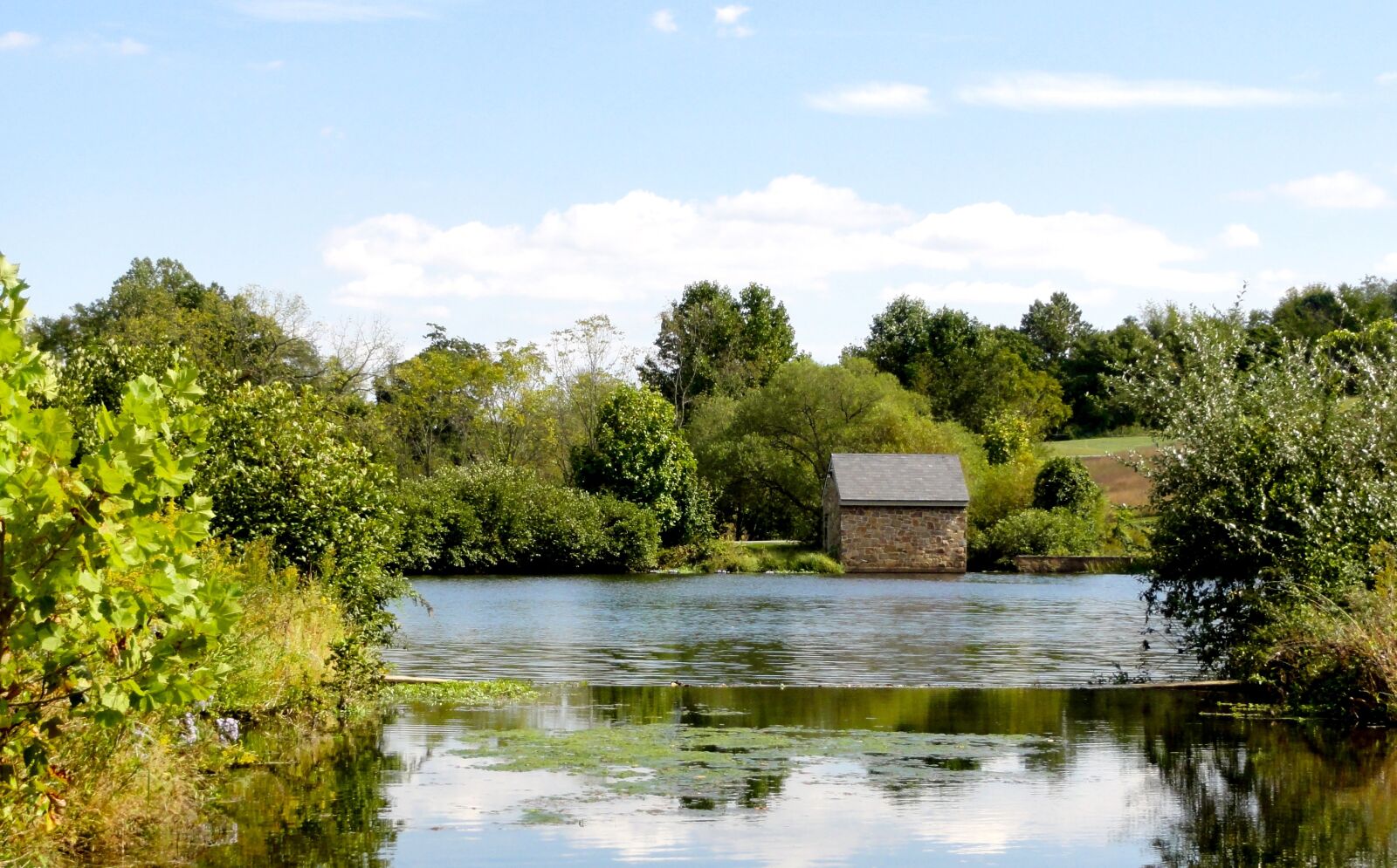 Sony DSC-HX5V sample photo. Landscape, pond, rural photography