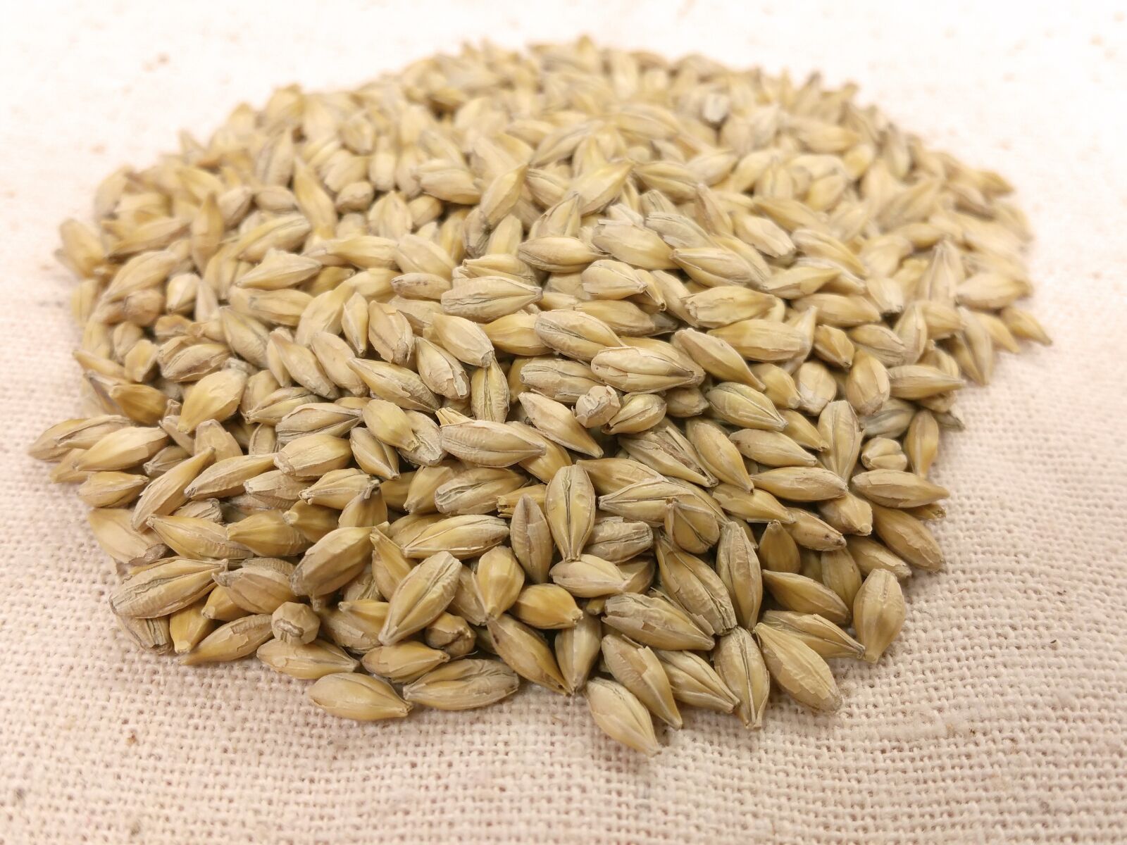 Samsung Galaxy Note4 sample photo. Barley, seed, grain photography